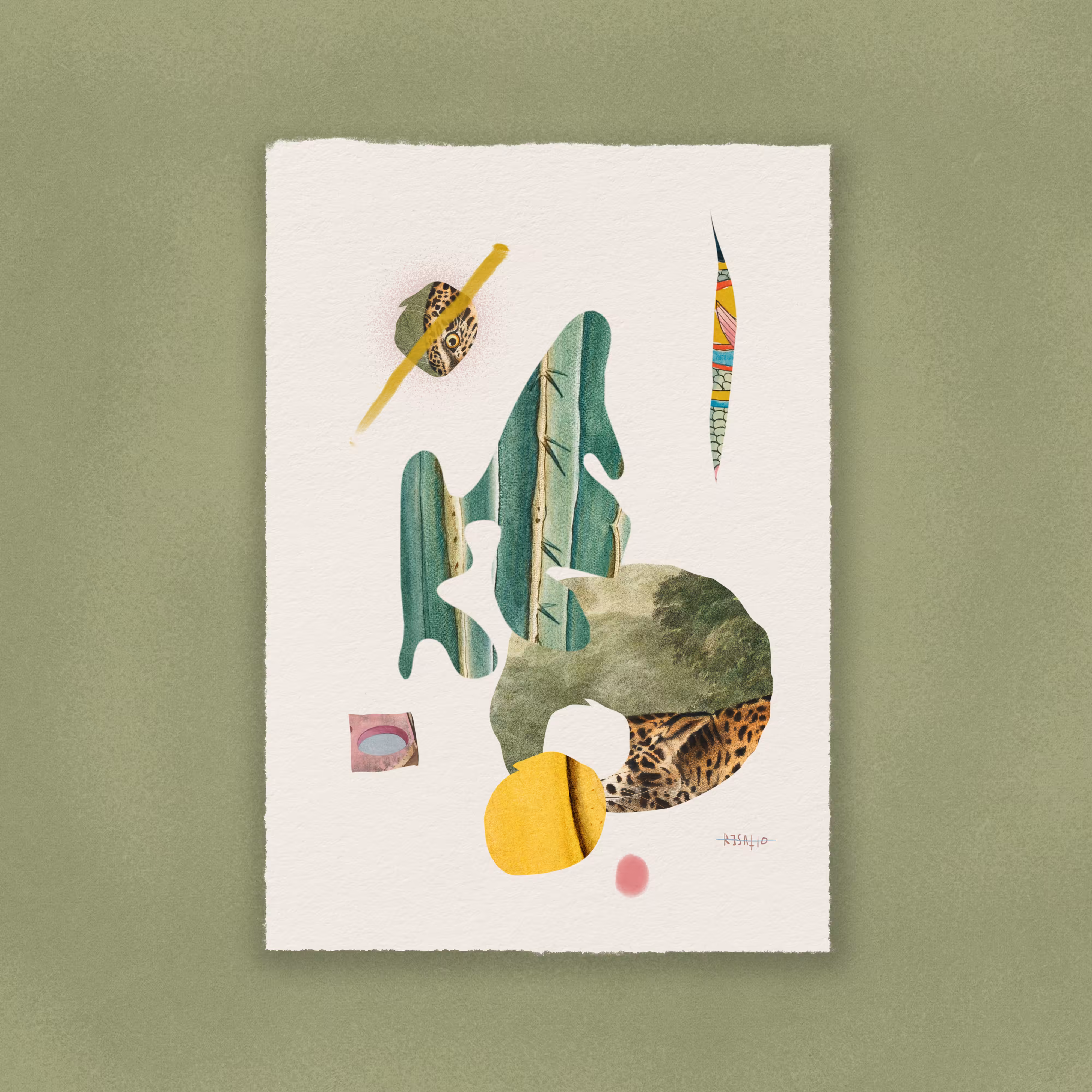 The Tranquility of a Floating Cactus