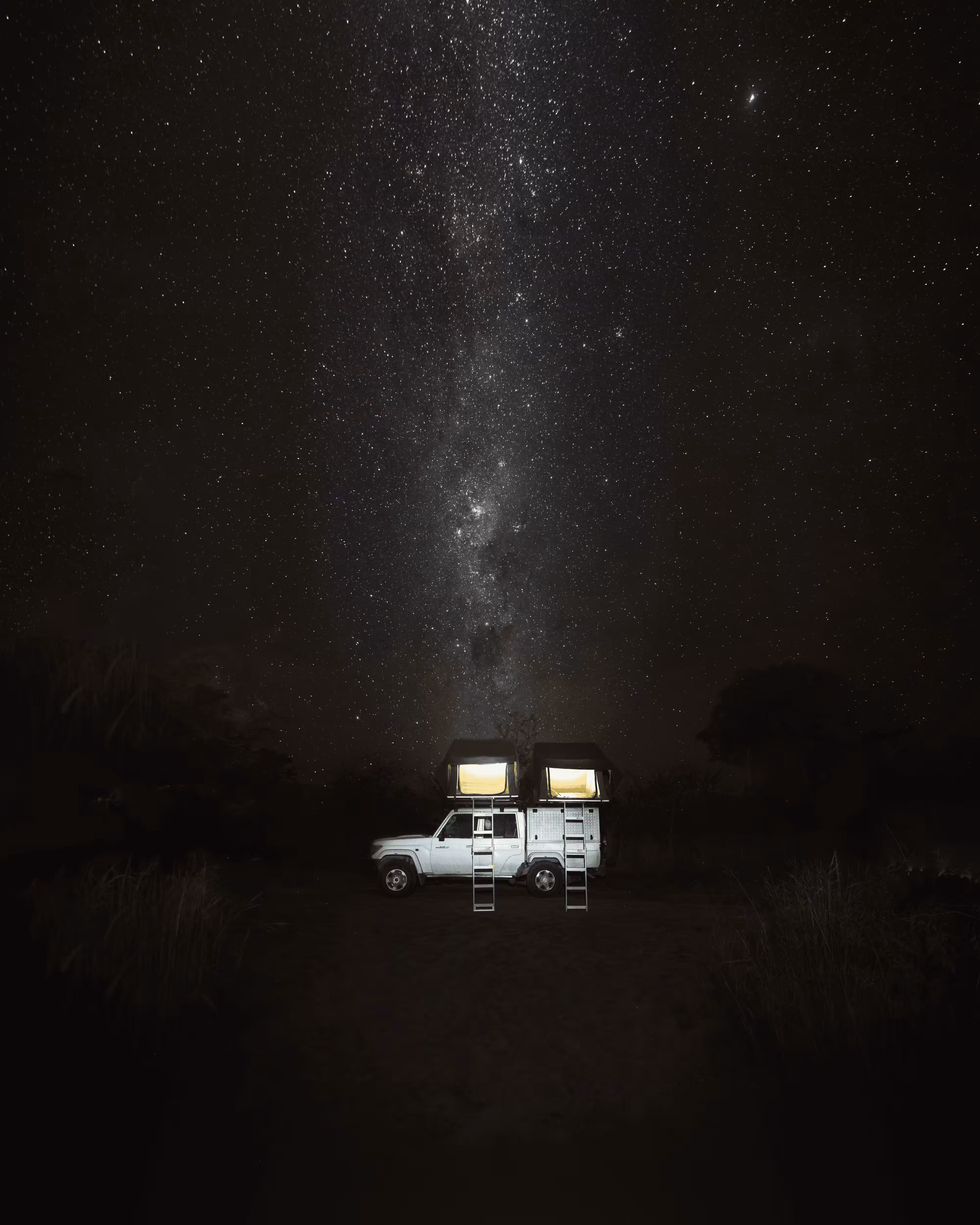 Piece by Piece #11 - Safari