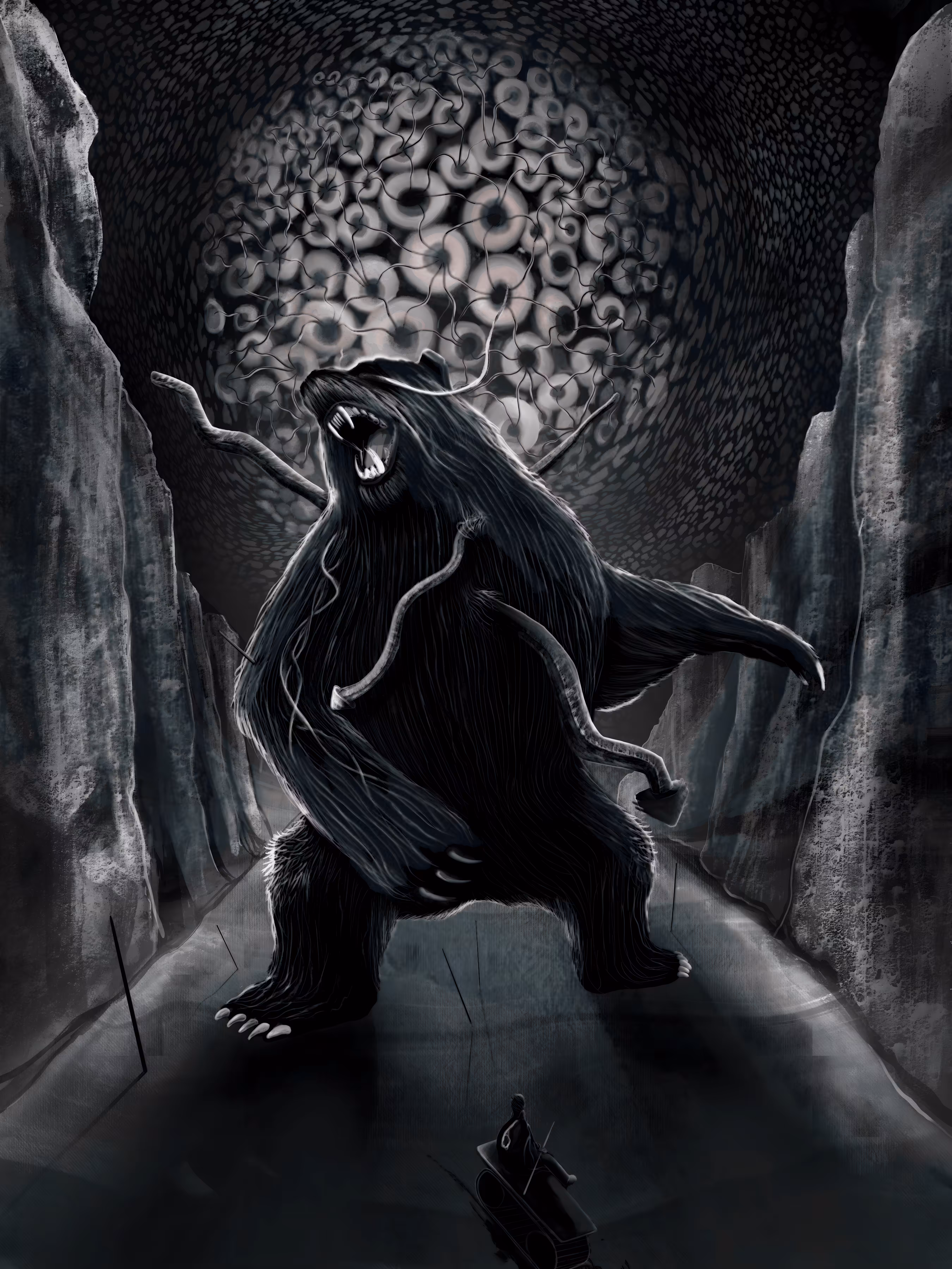 bFear