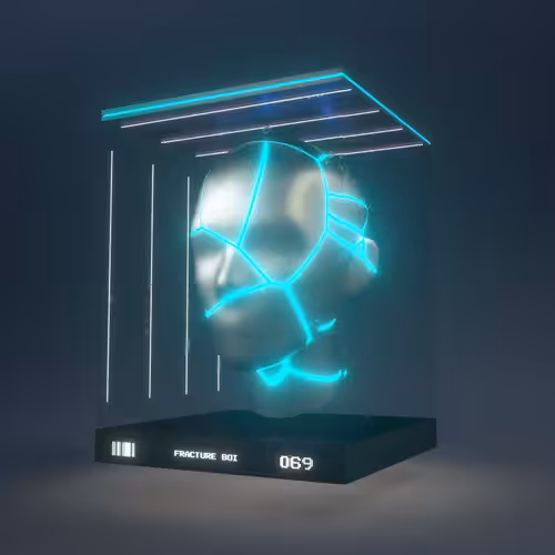 FRACTURE BOI - 069