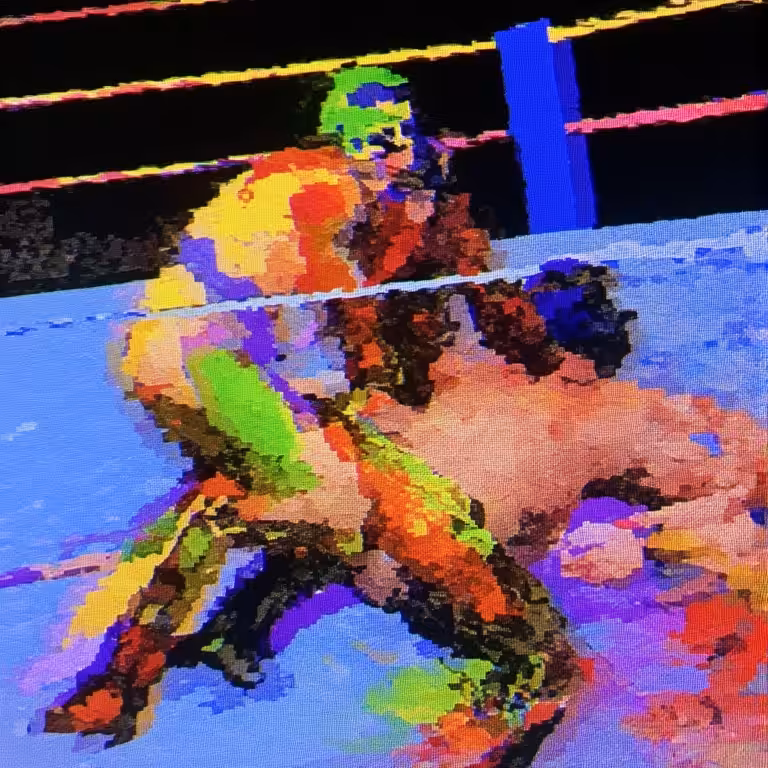 Wrestling Match