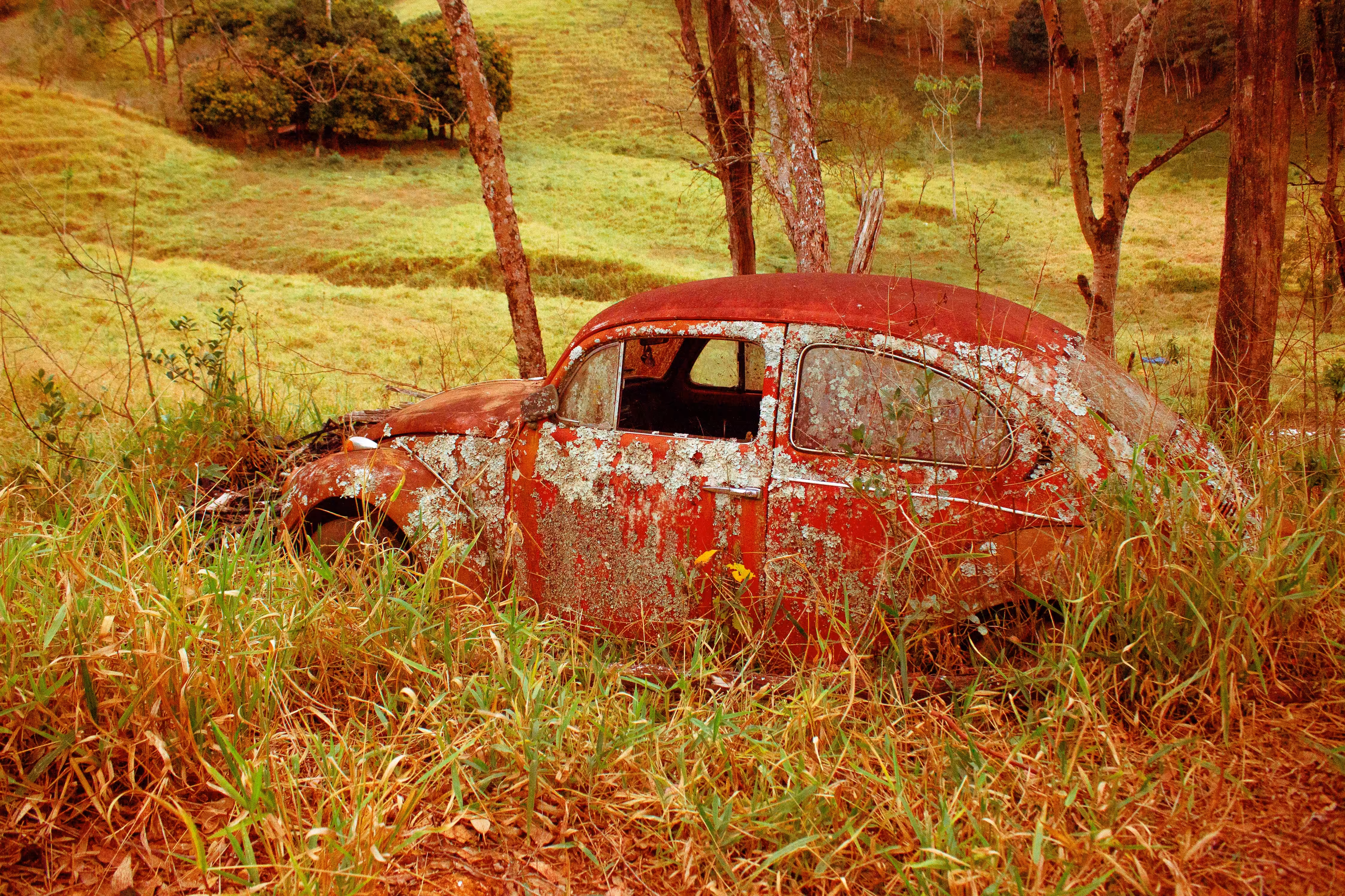 Fusca 1500