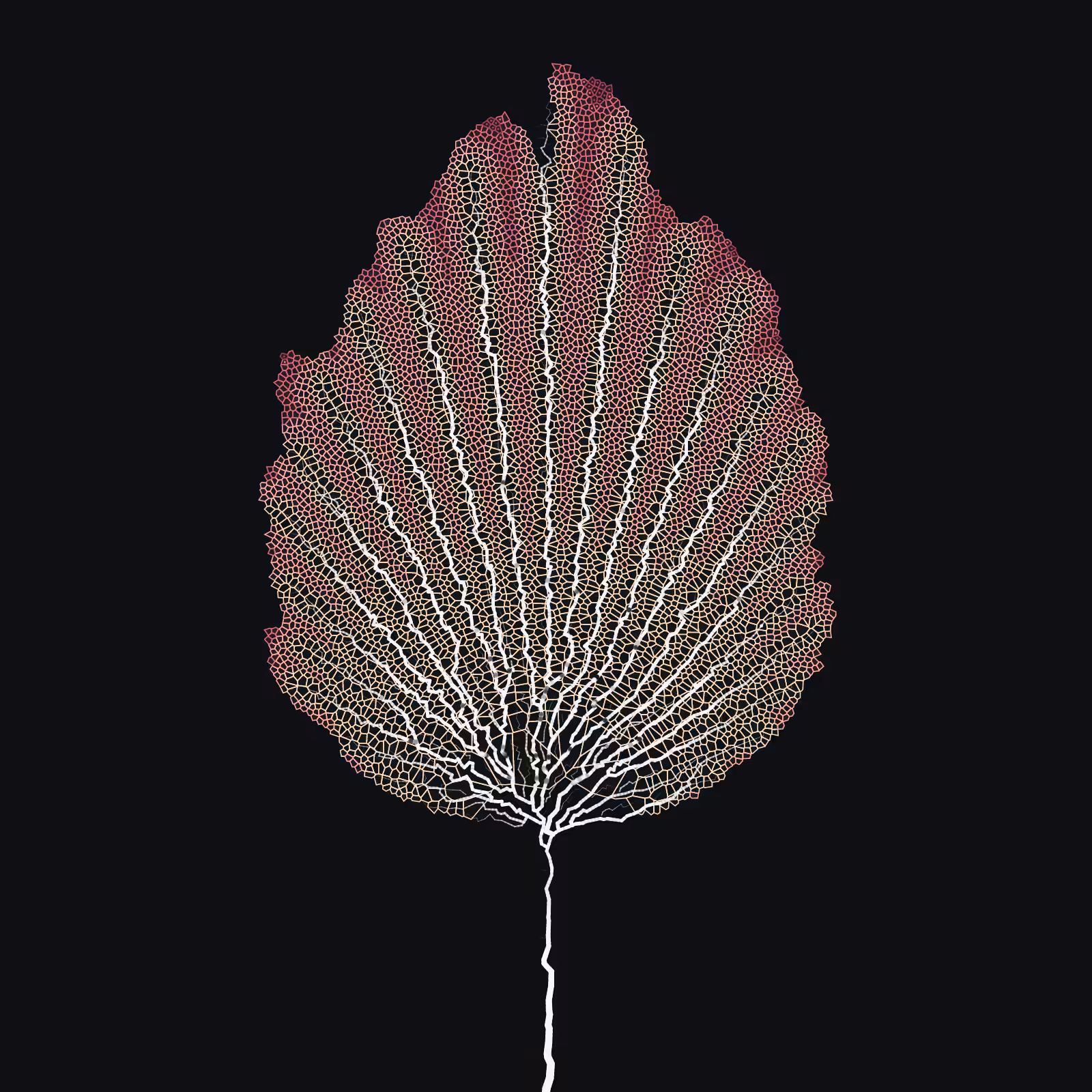 Leaf study #37