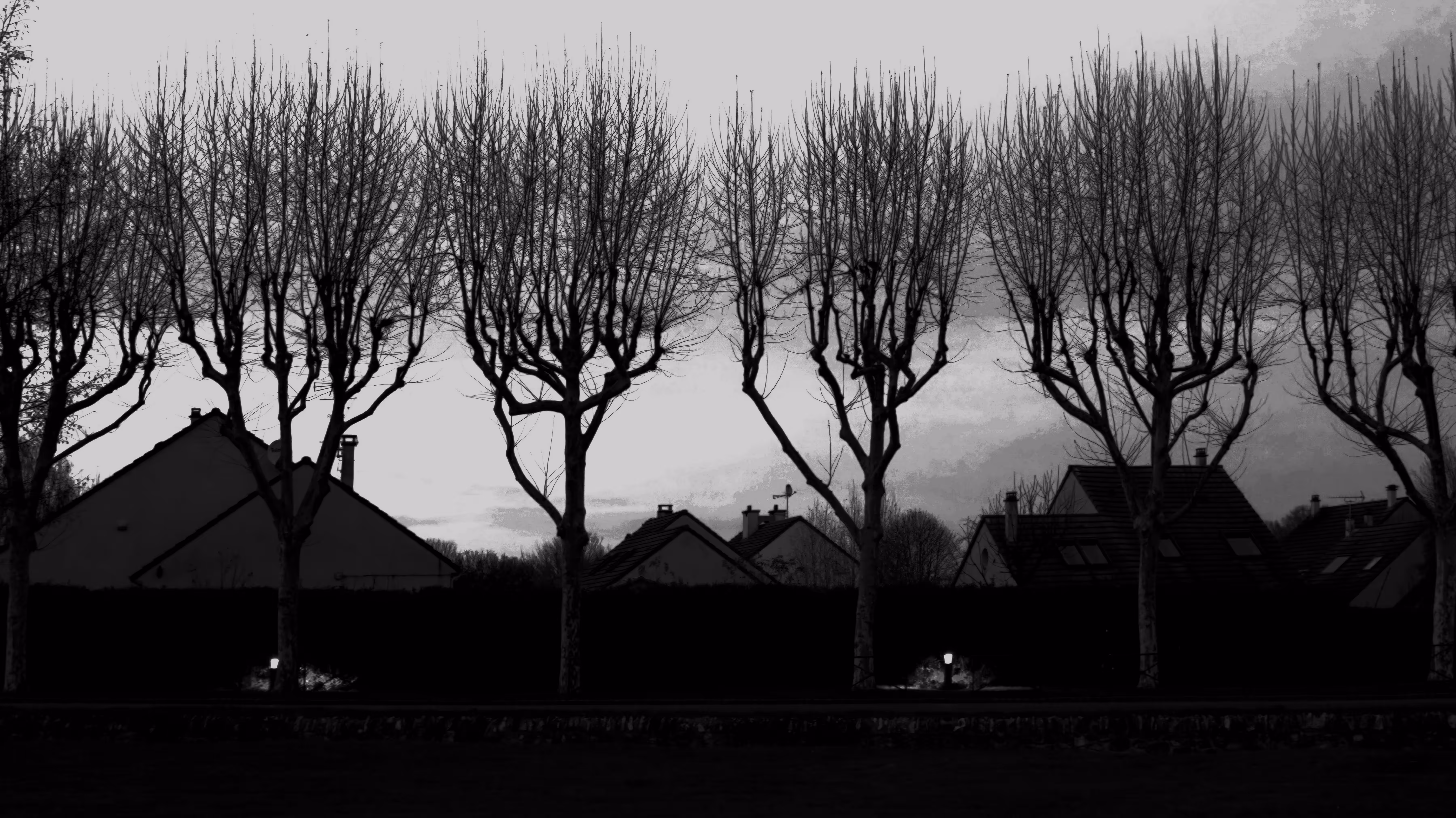 Figures Without Voices