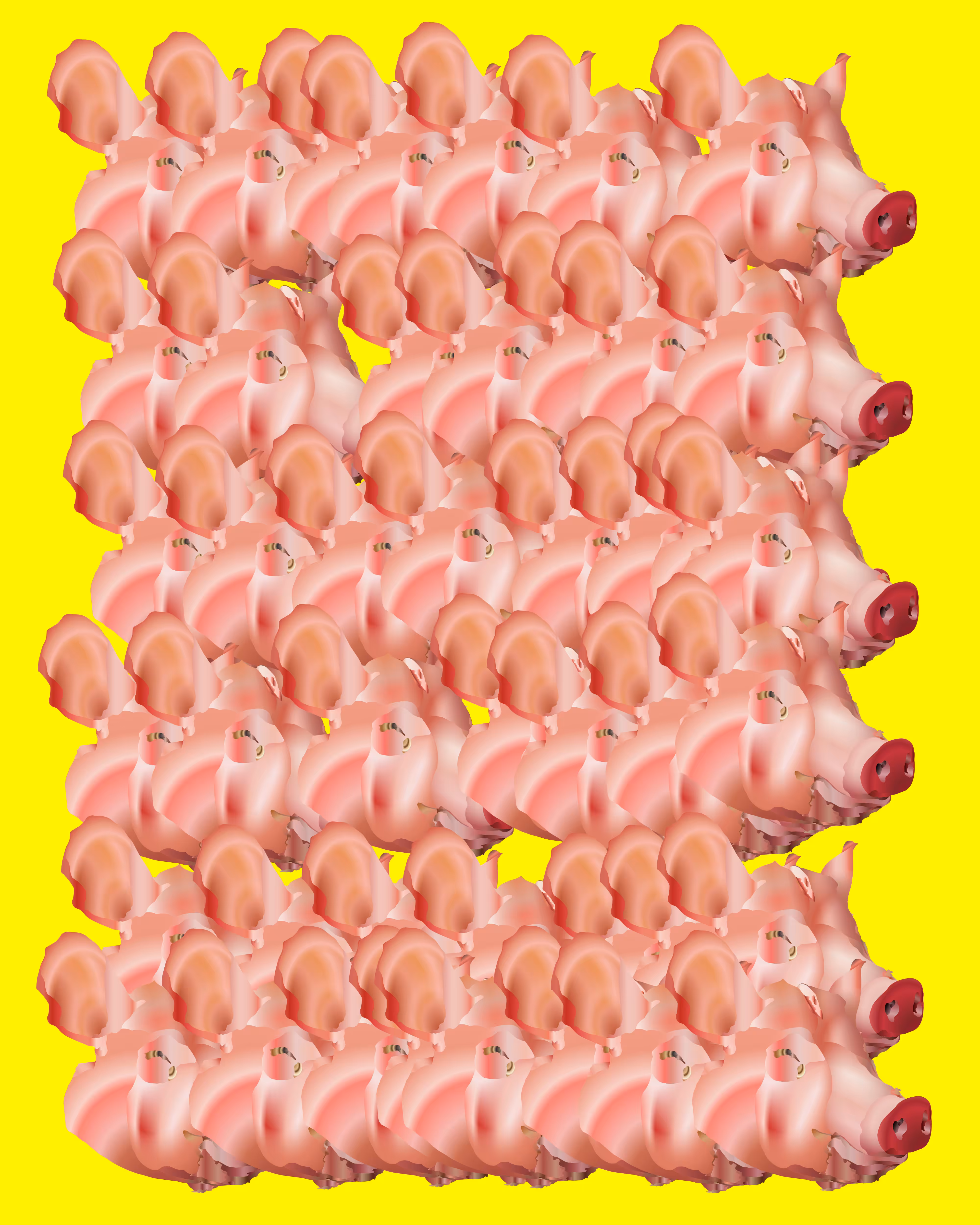pig heads