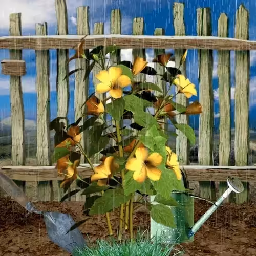 Gardening