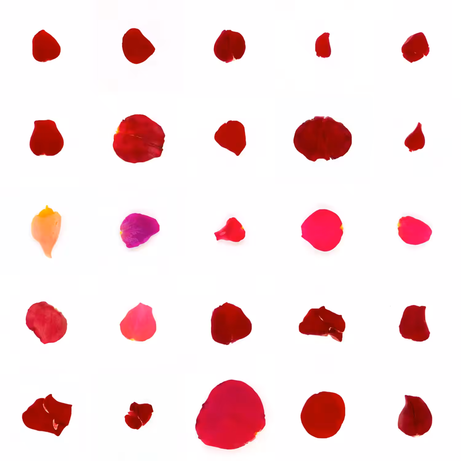 Infinite Petals 5x5#2776