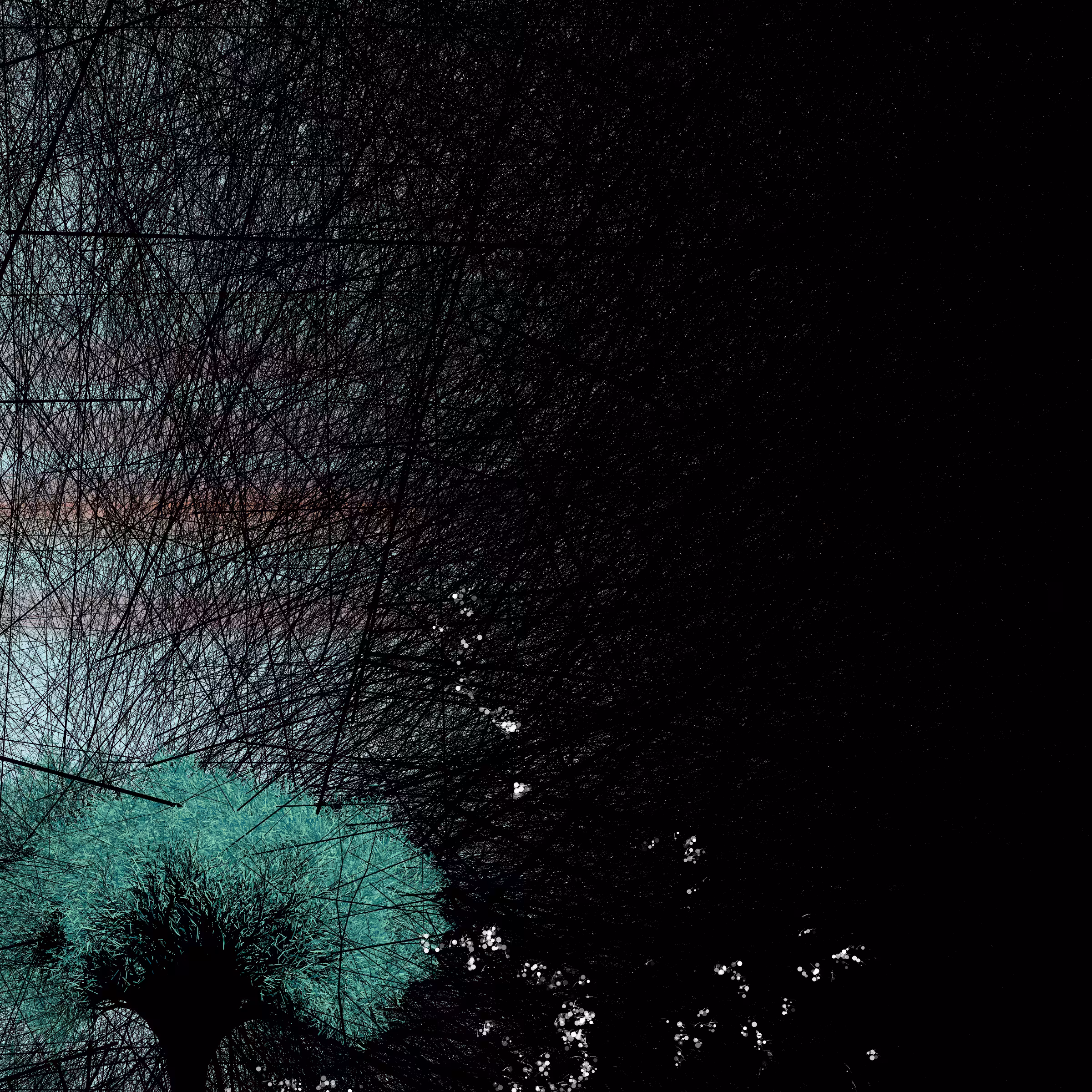 conversation with the wind #404