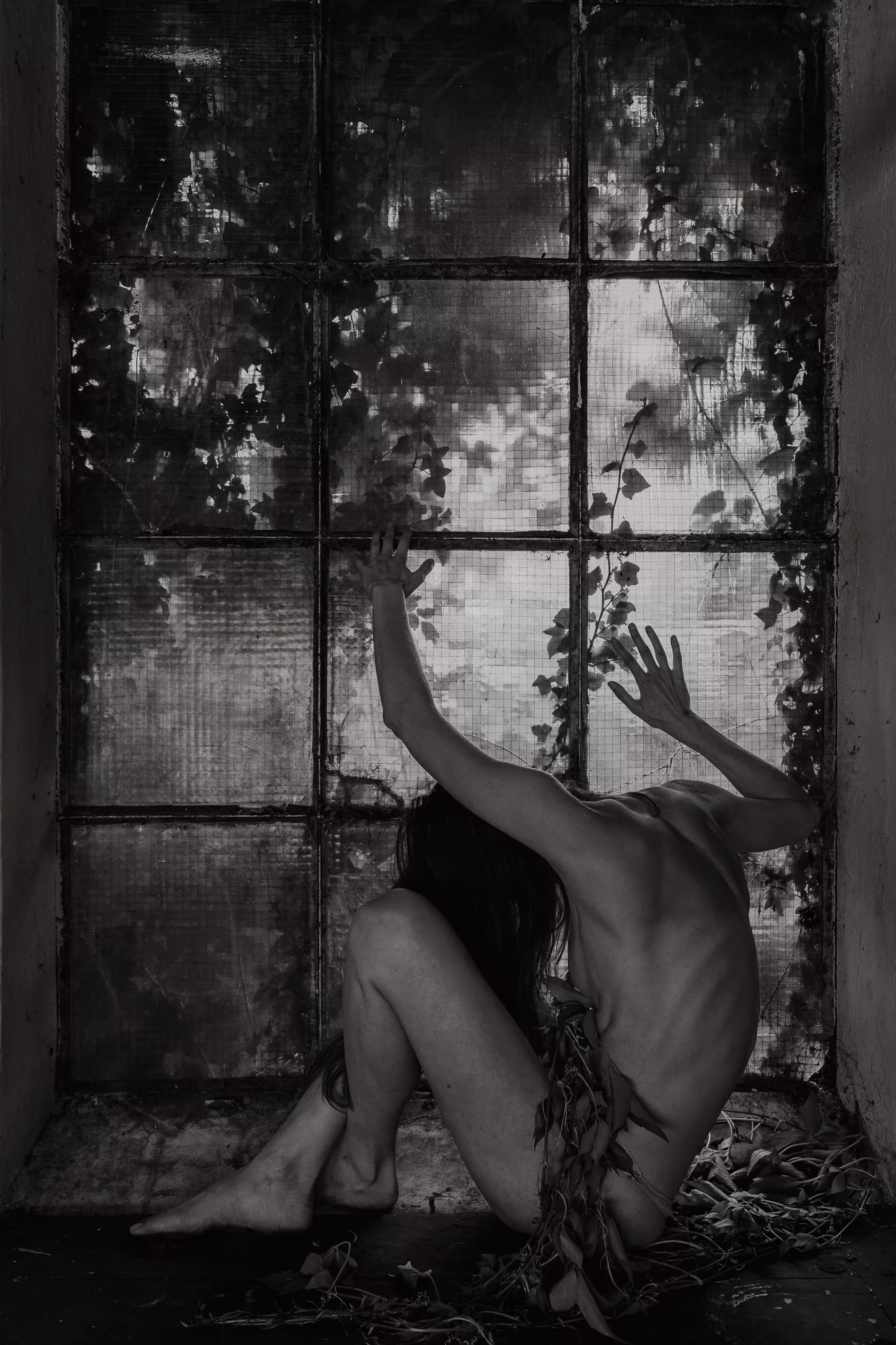 Nature's Remembrance 3