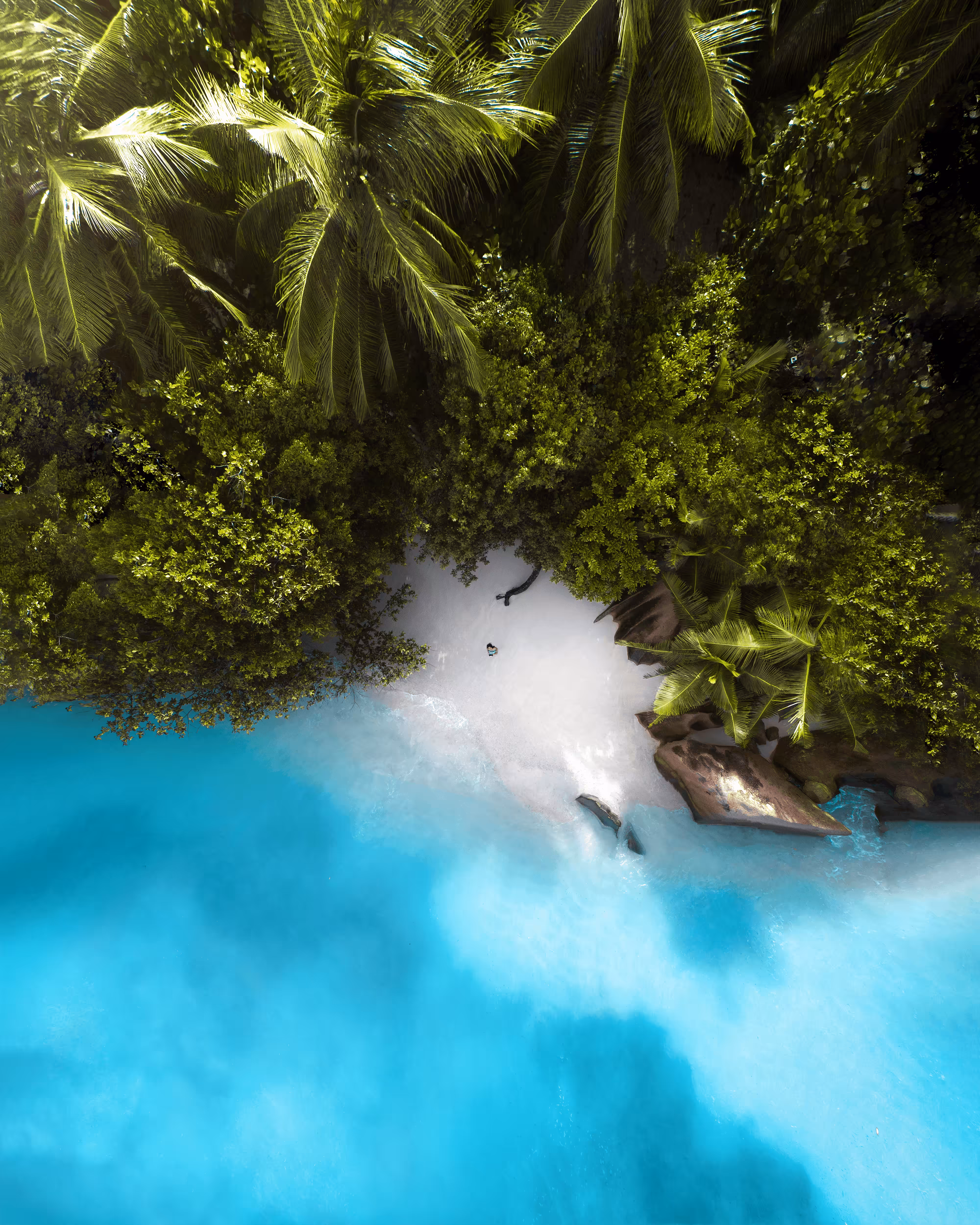 #11: Tropical Seclusion 
