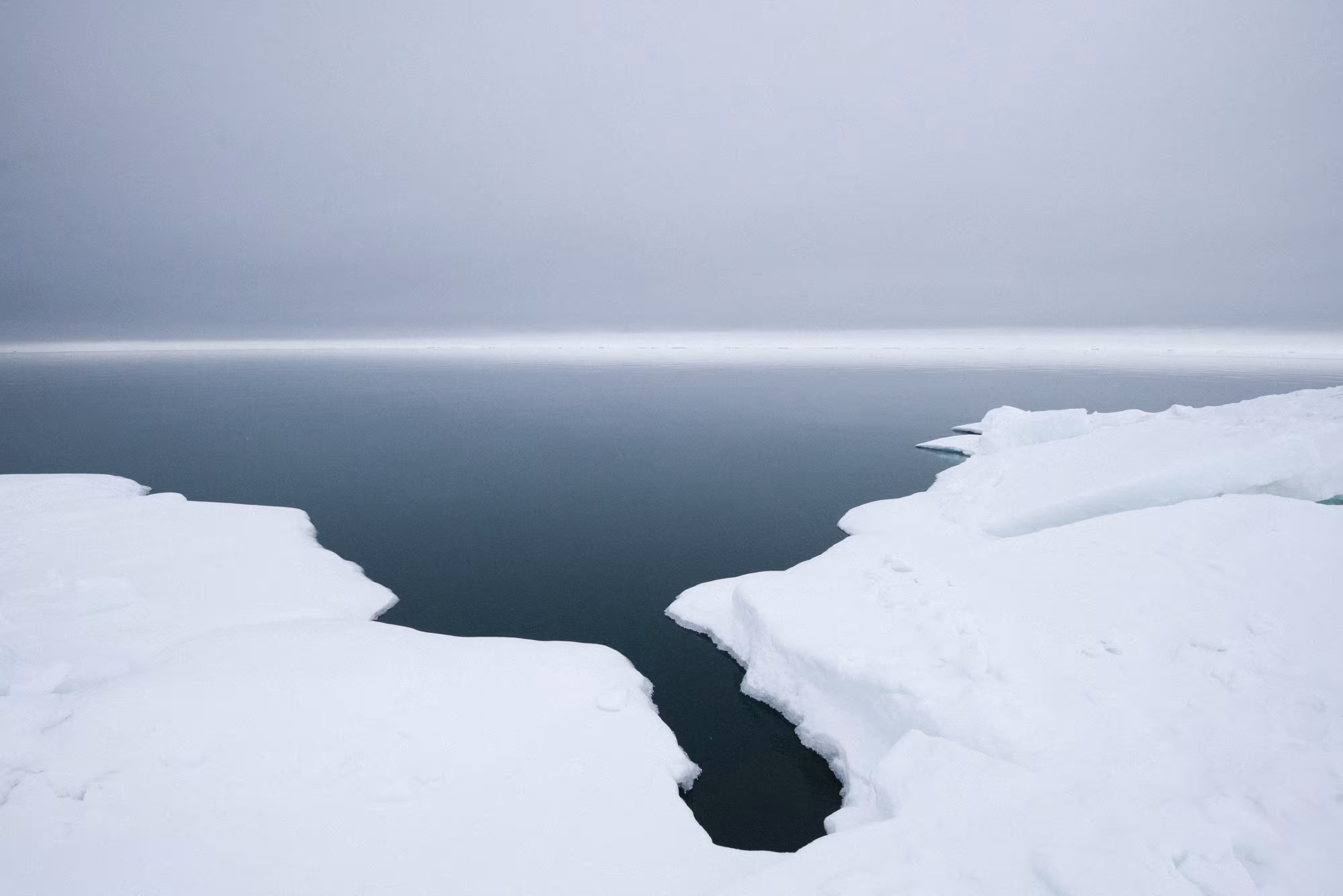 Rumors of Arctic Belonging - Undulating Tuvaq, Floe Edge, Point Nuvuk