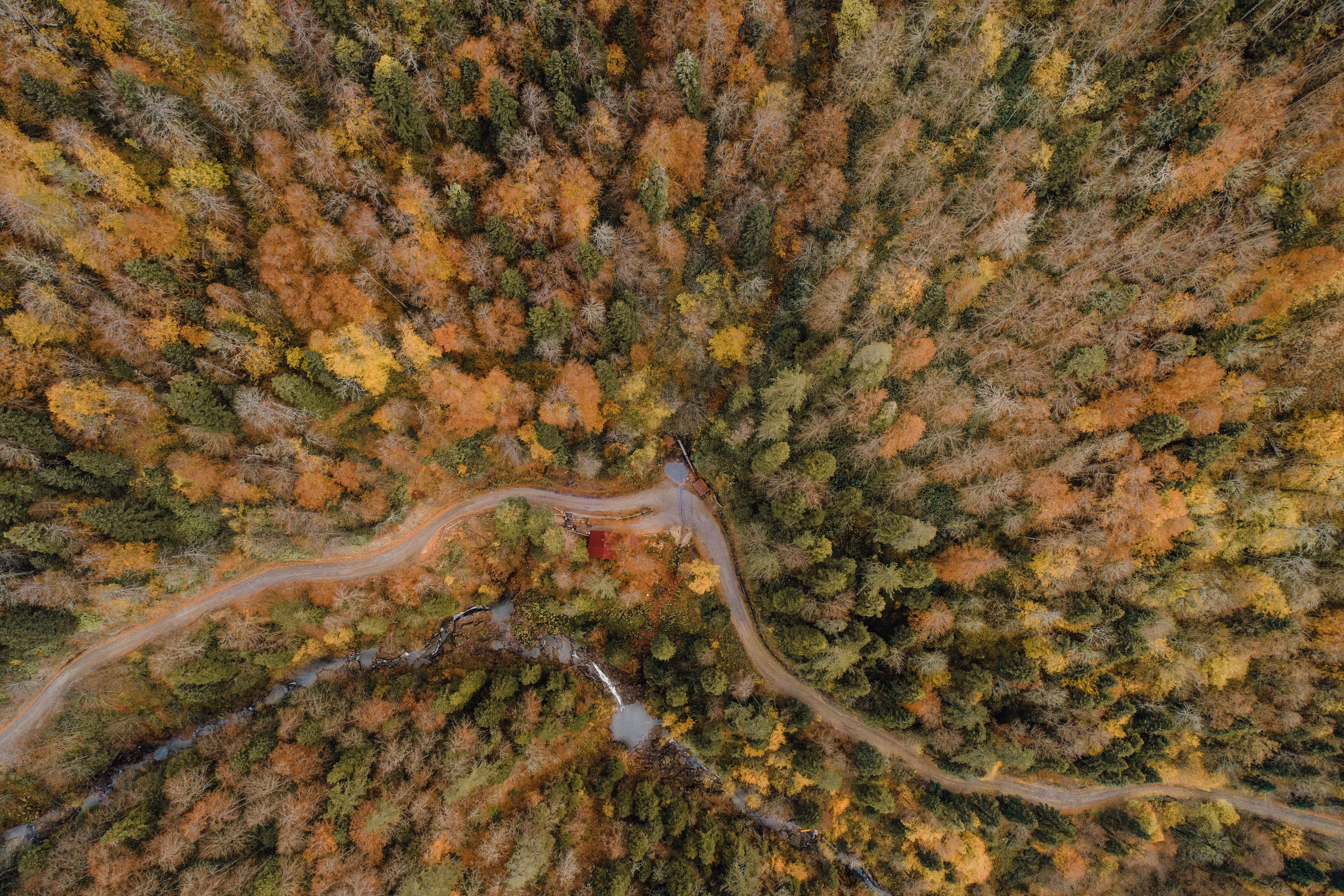Colors Of Nature #8