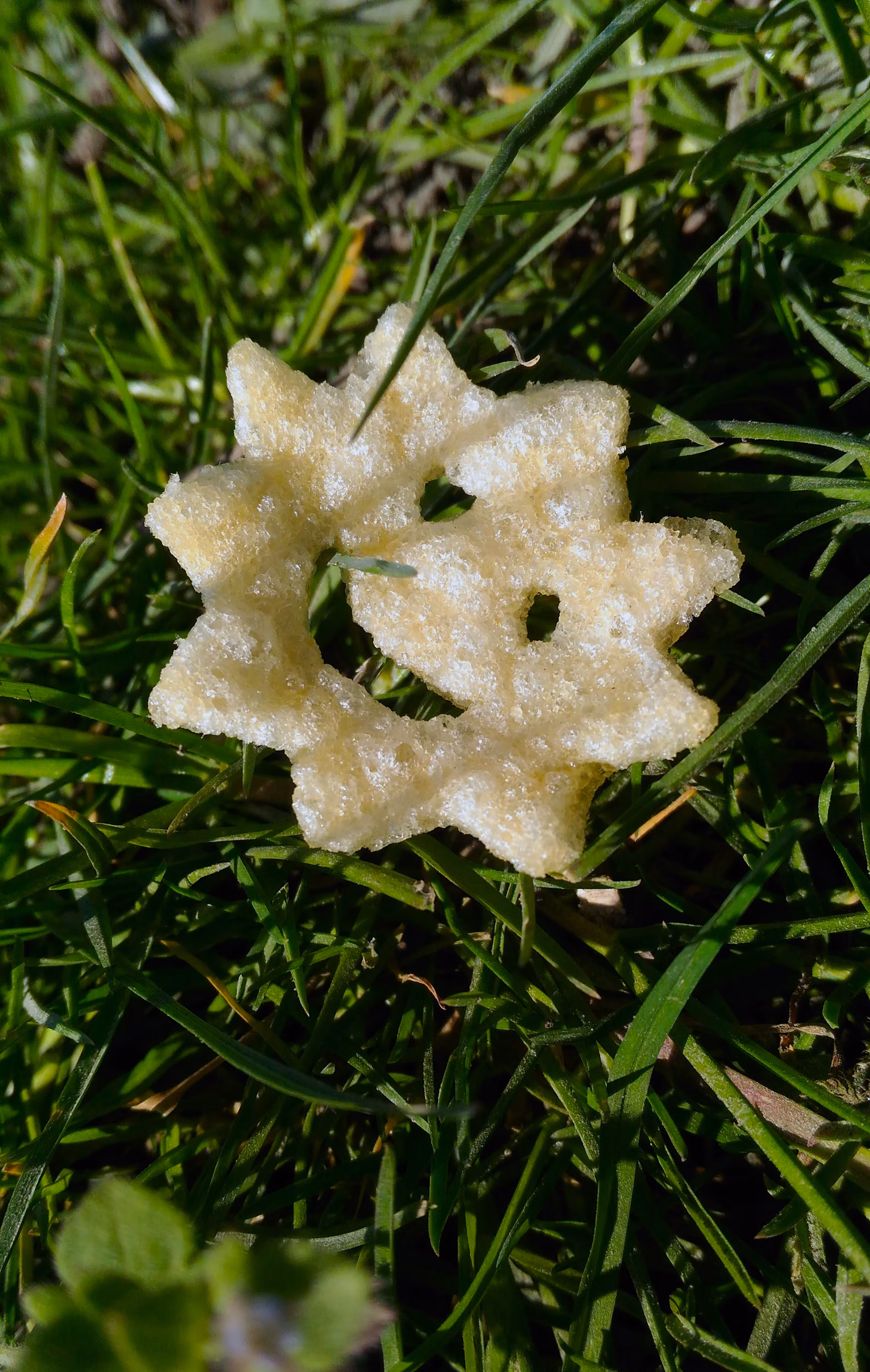 A Sunny Day