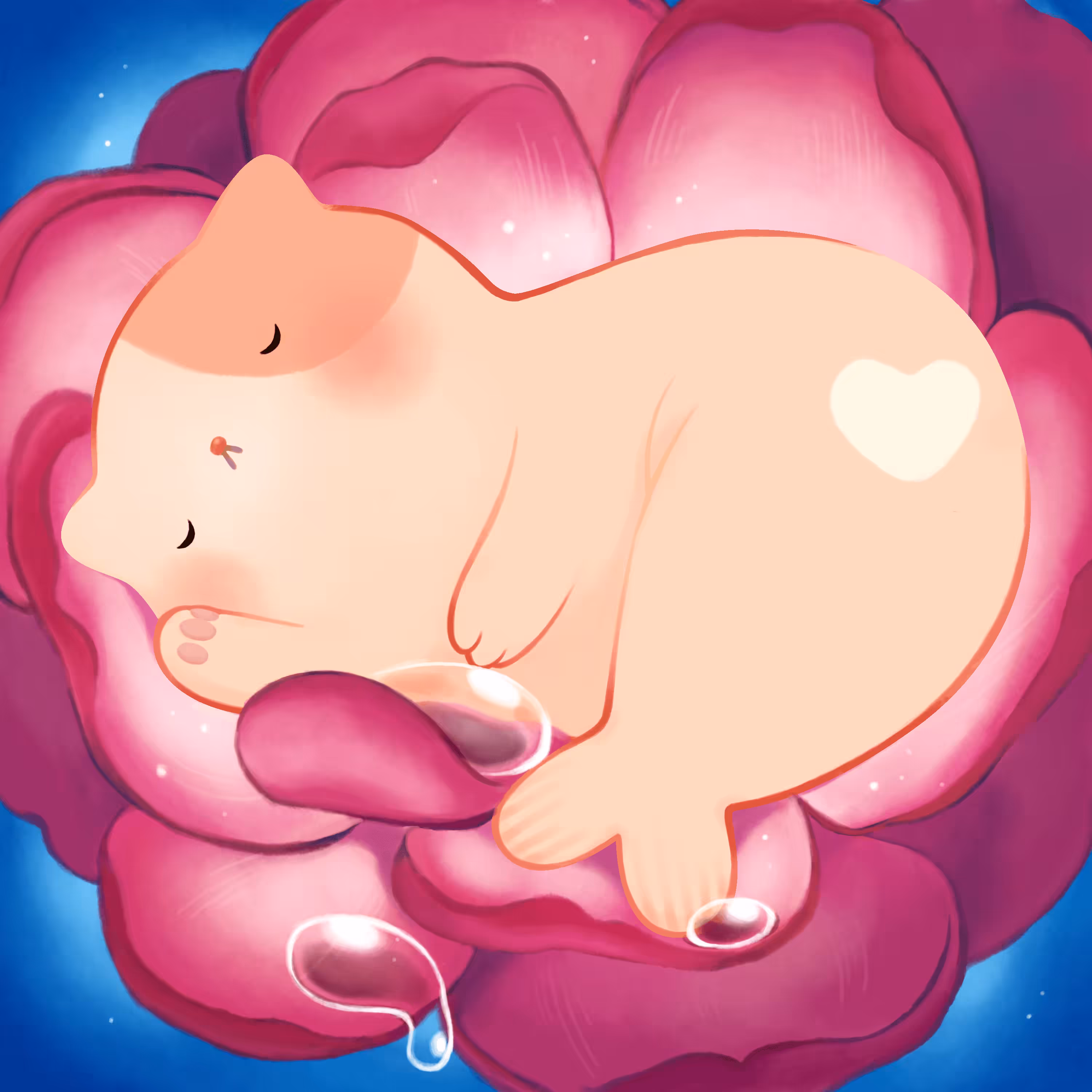 Mermeow no.22 - Jelly