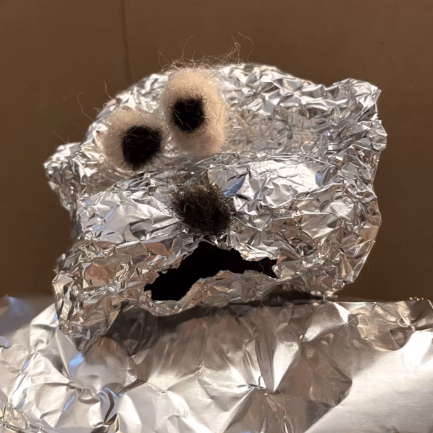 "SHINY" SHUMWAY #001