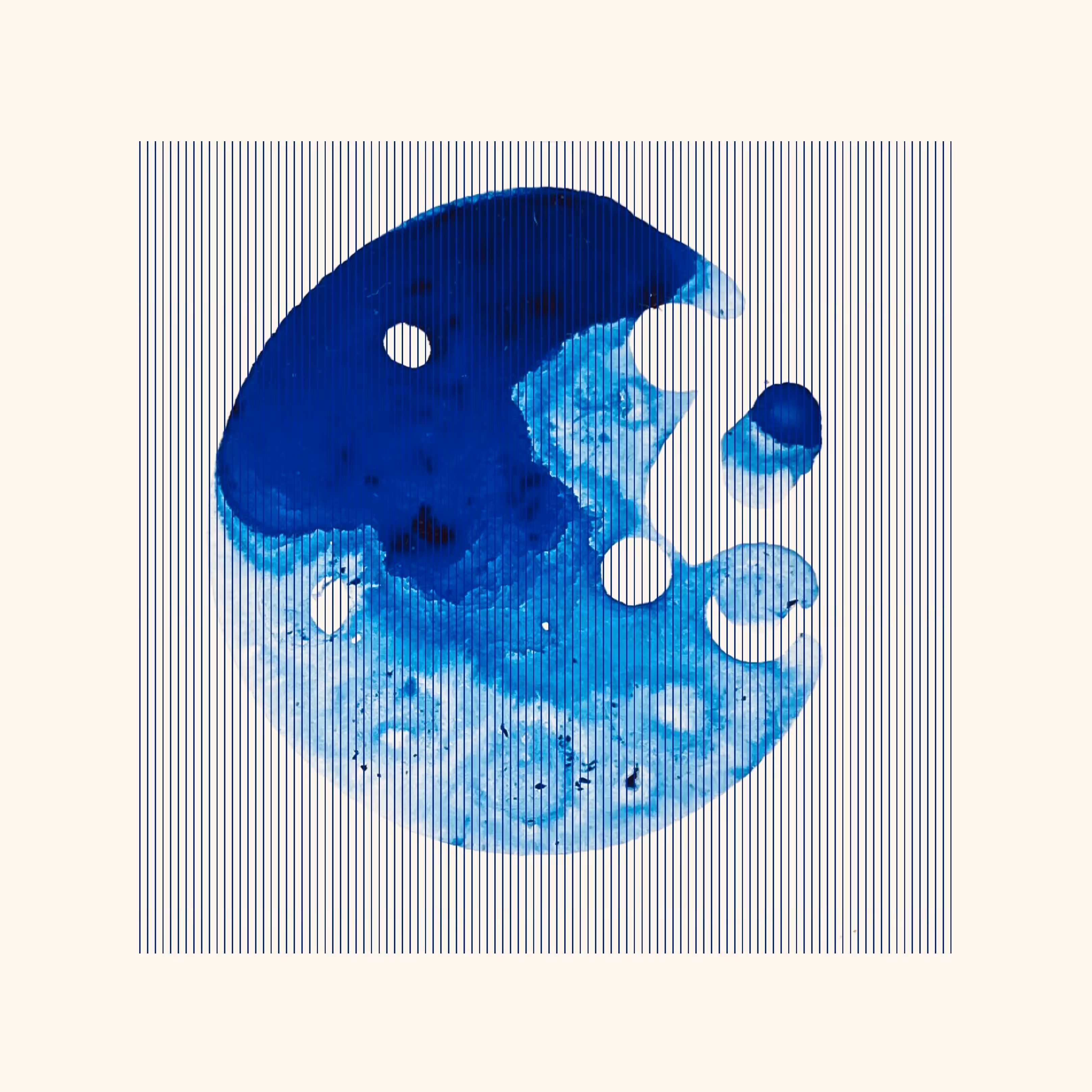 BP 004