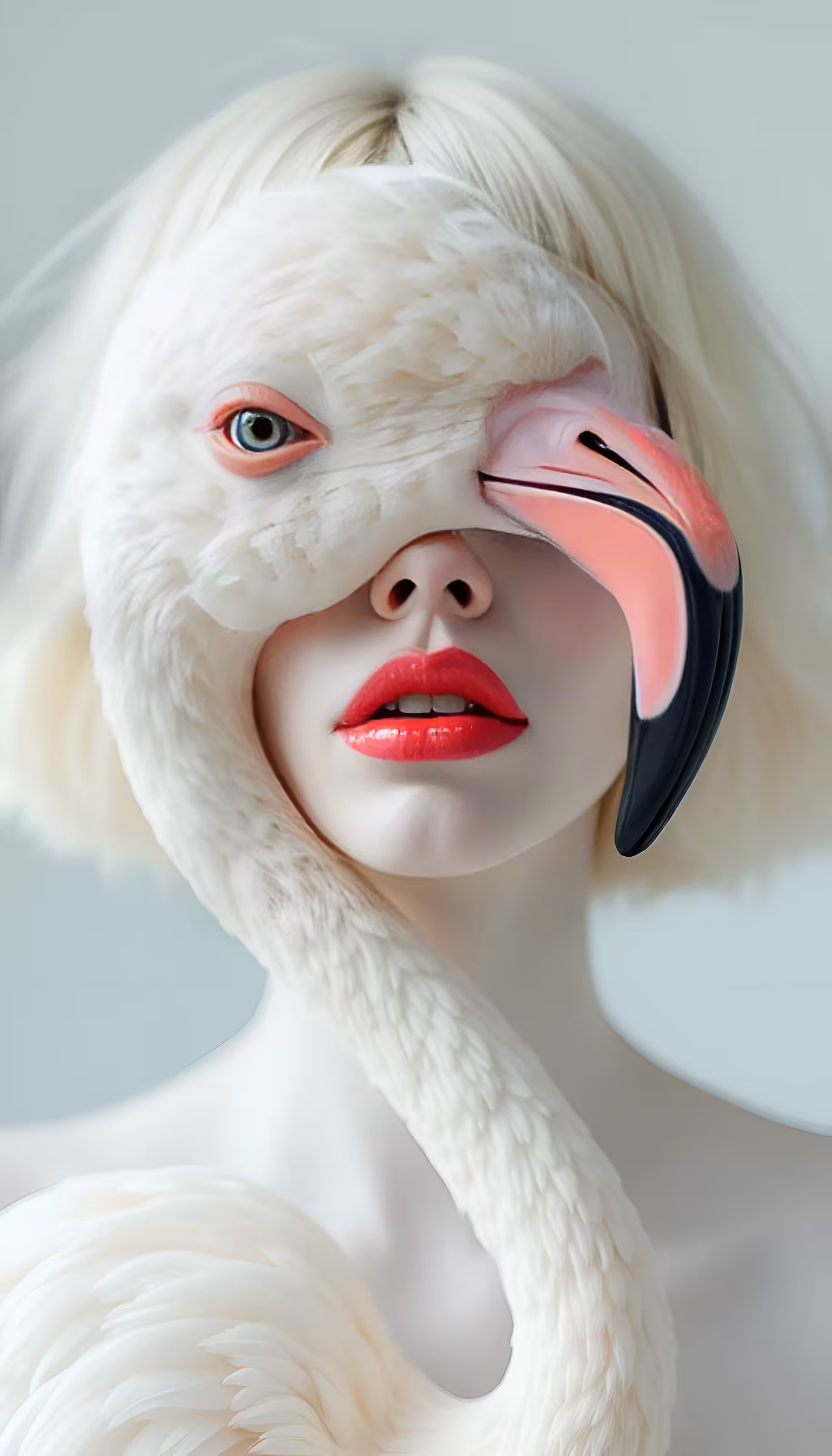 The Flamingo Girl