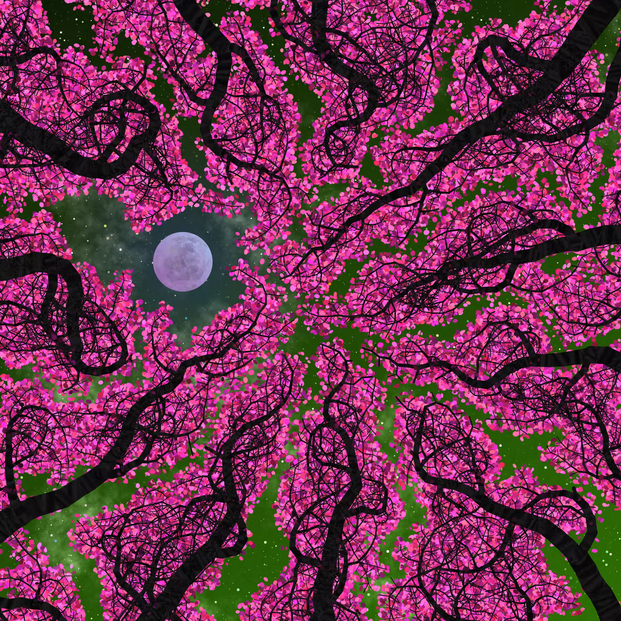 Tree Skyness #170