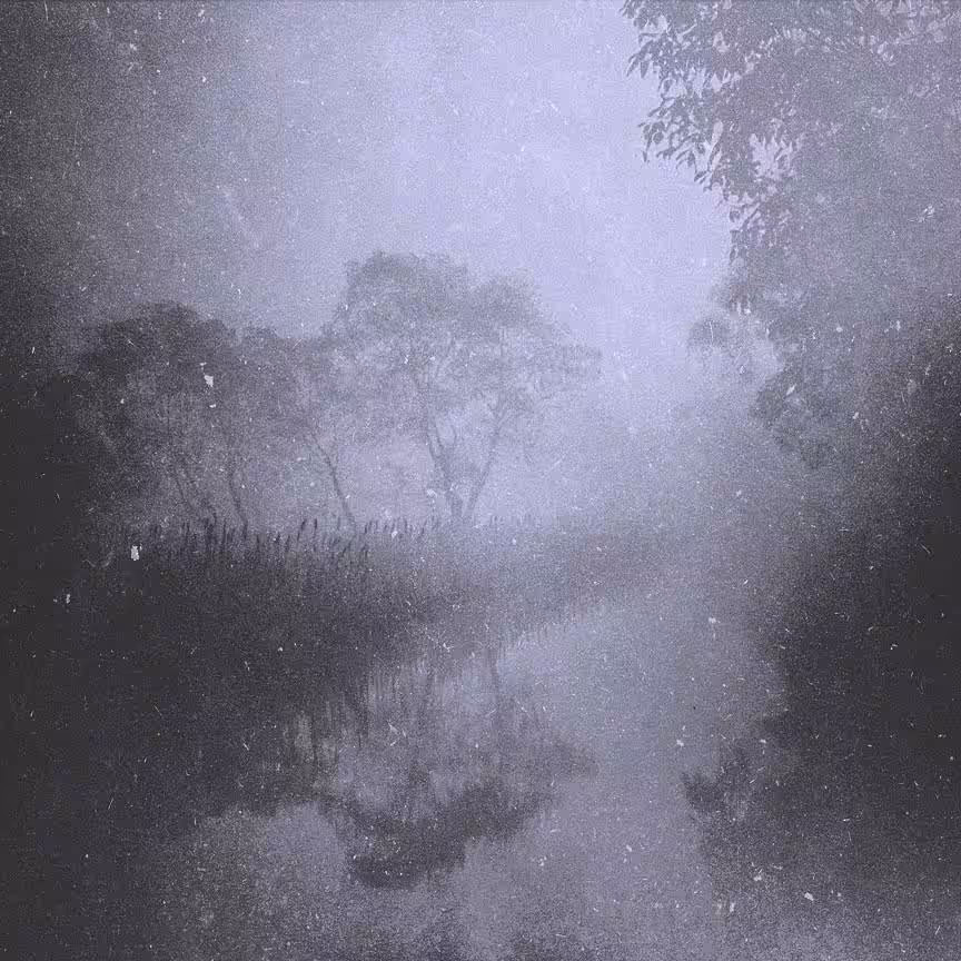 Fogs Mirror