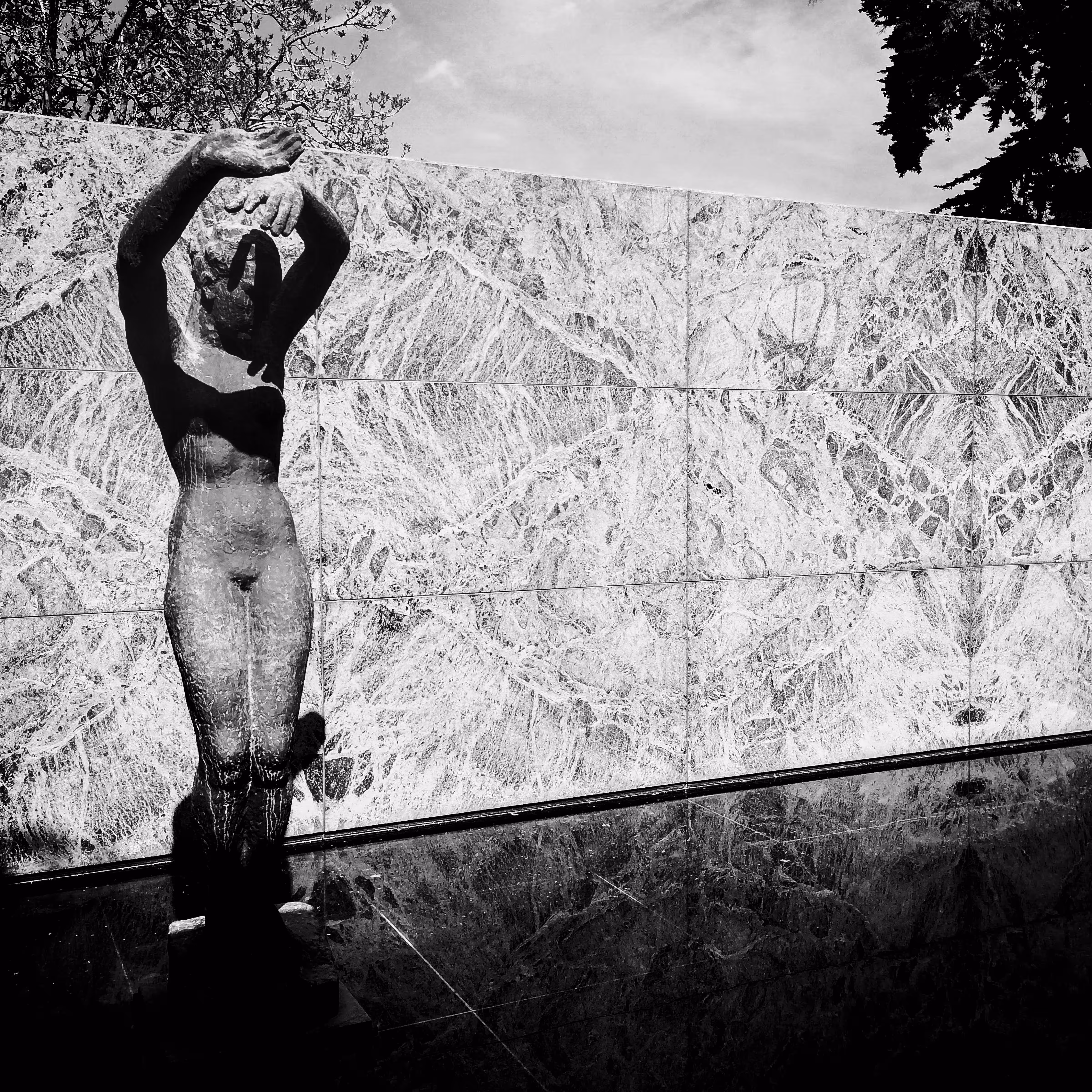 The Barcelona Pavilion