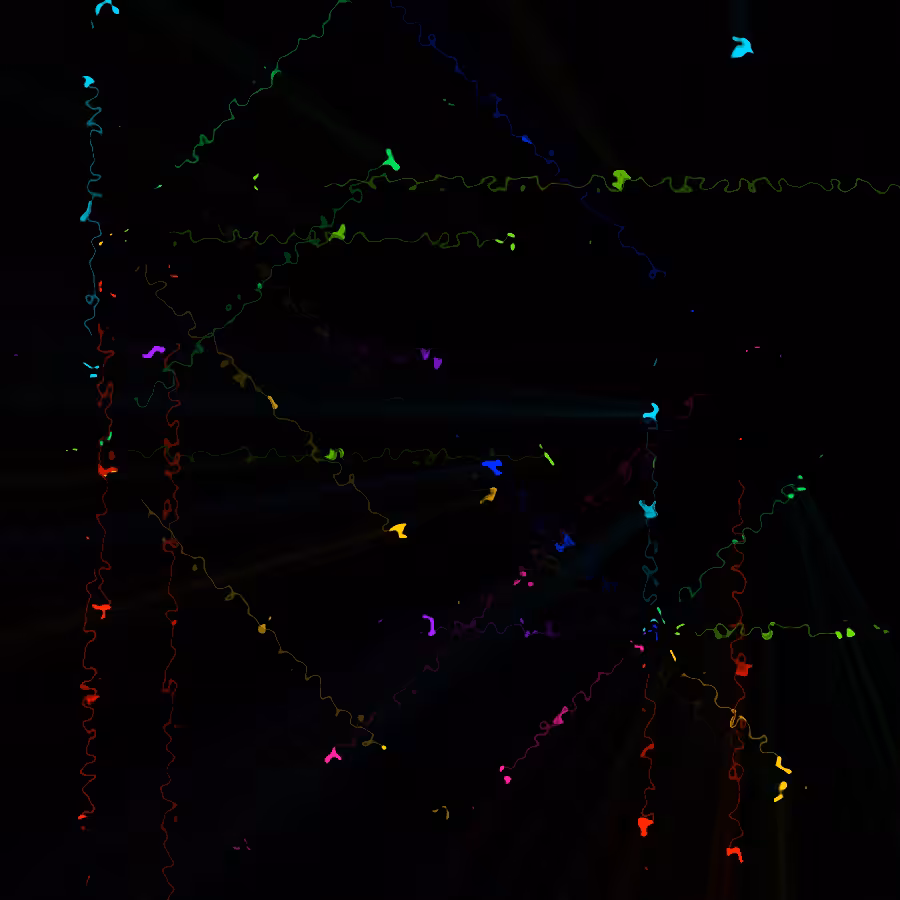 fx(rings/dots) #32