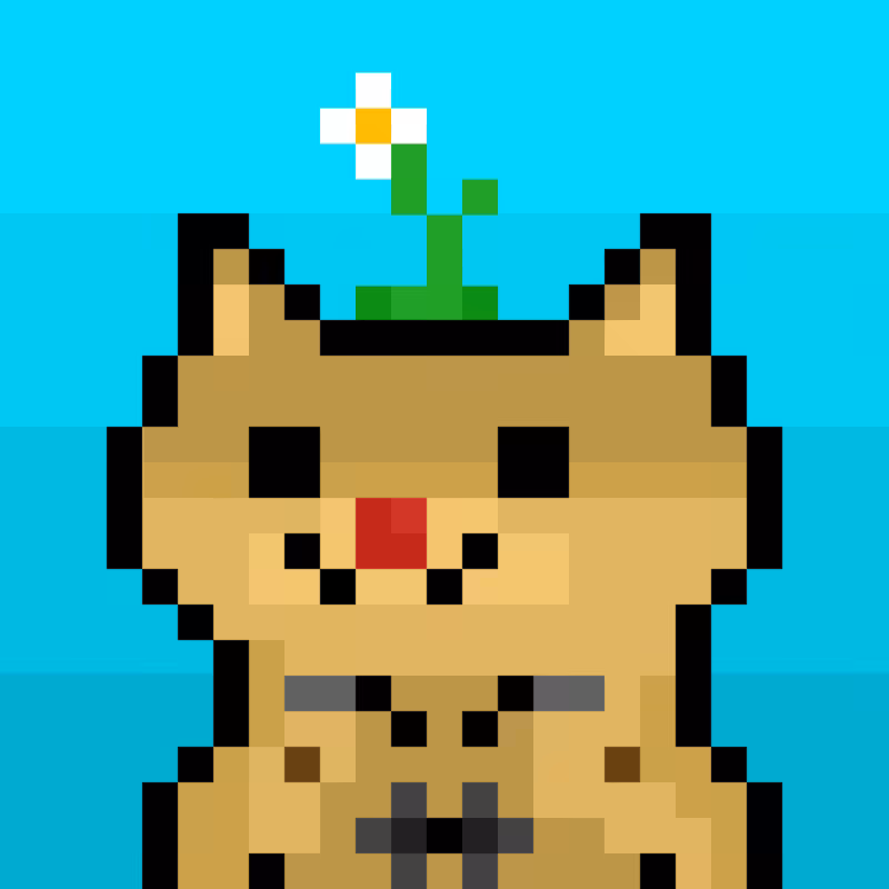 DOGE FX #1