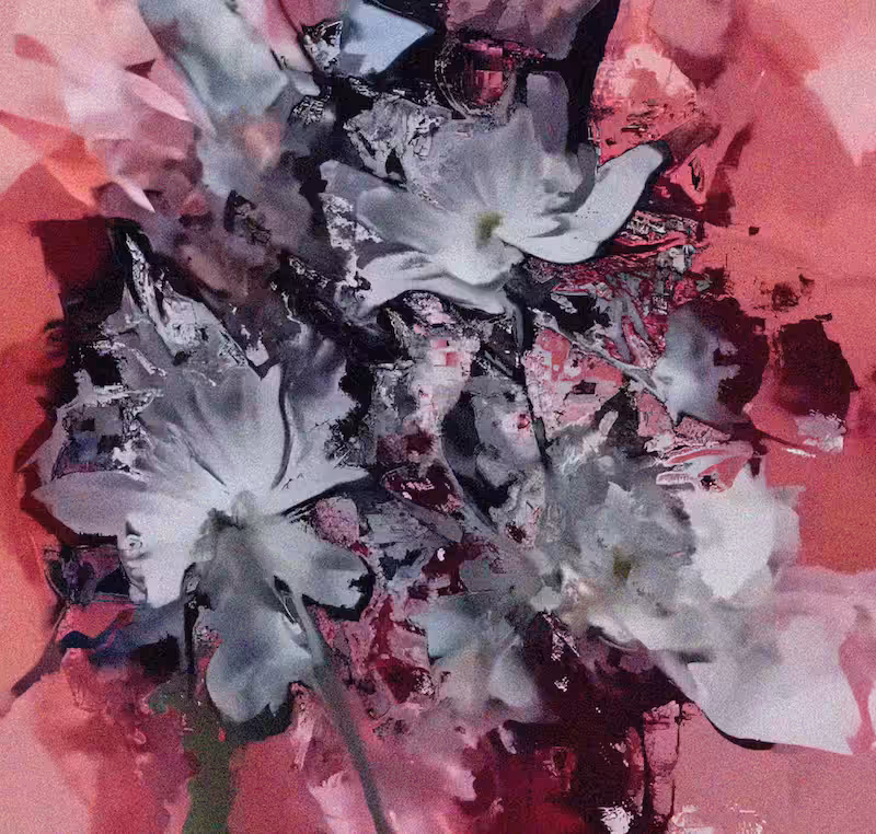 Where Nothing Settles: Ghost Bloom