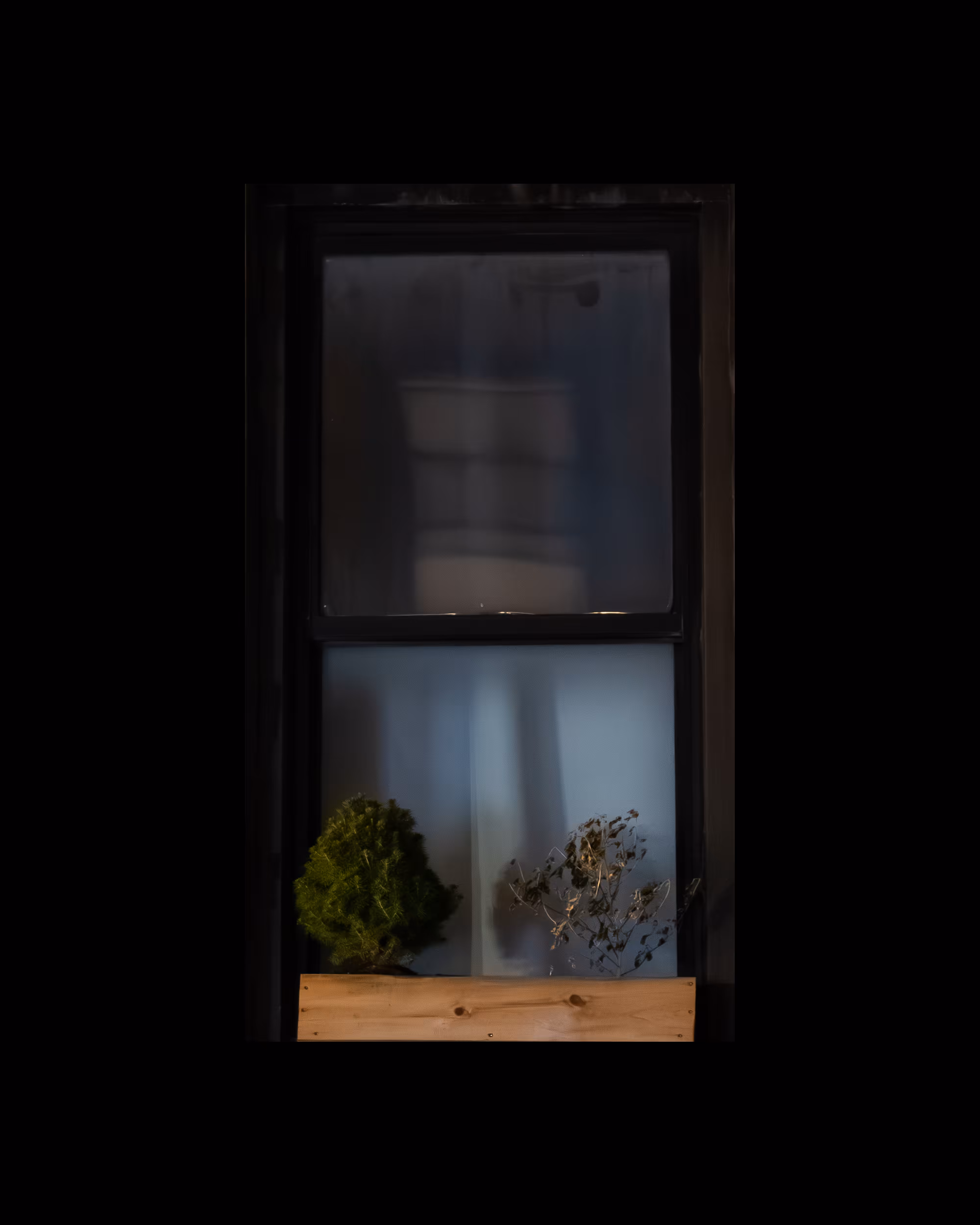 WINDOWS // NYC: WINDOW 798