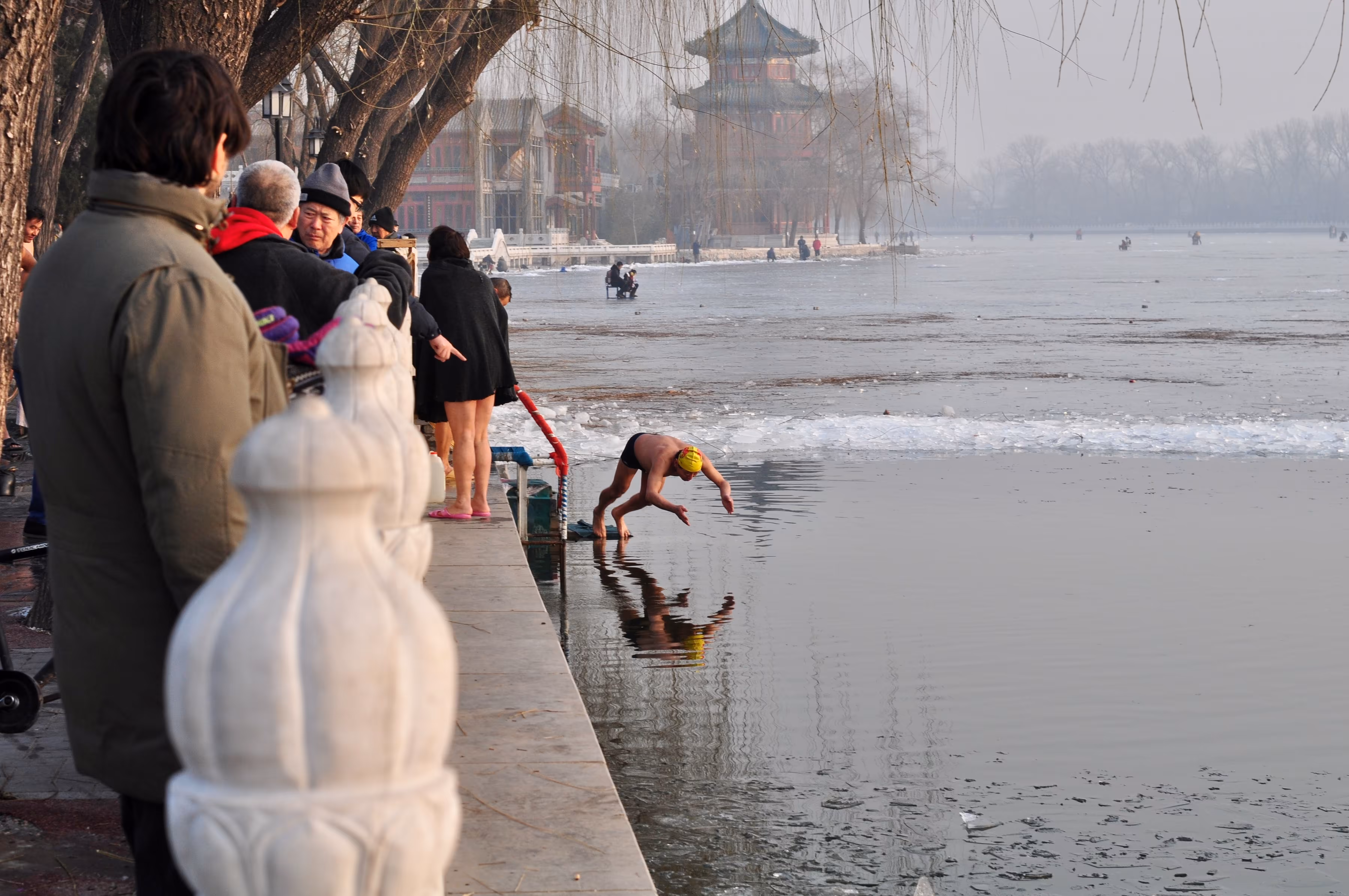 Take the Plunge