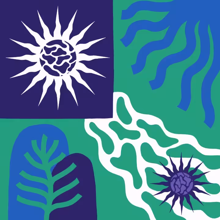 PATTERN #15