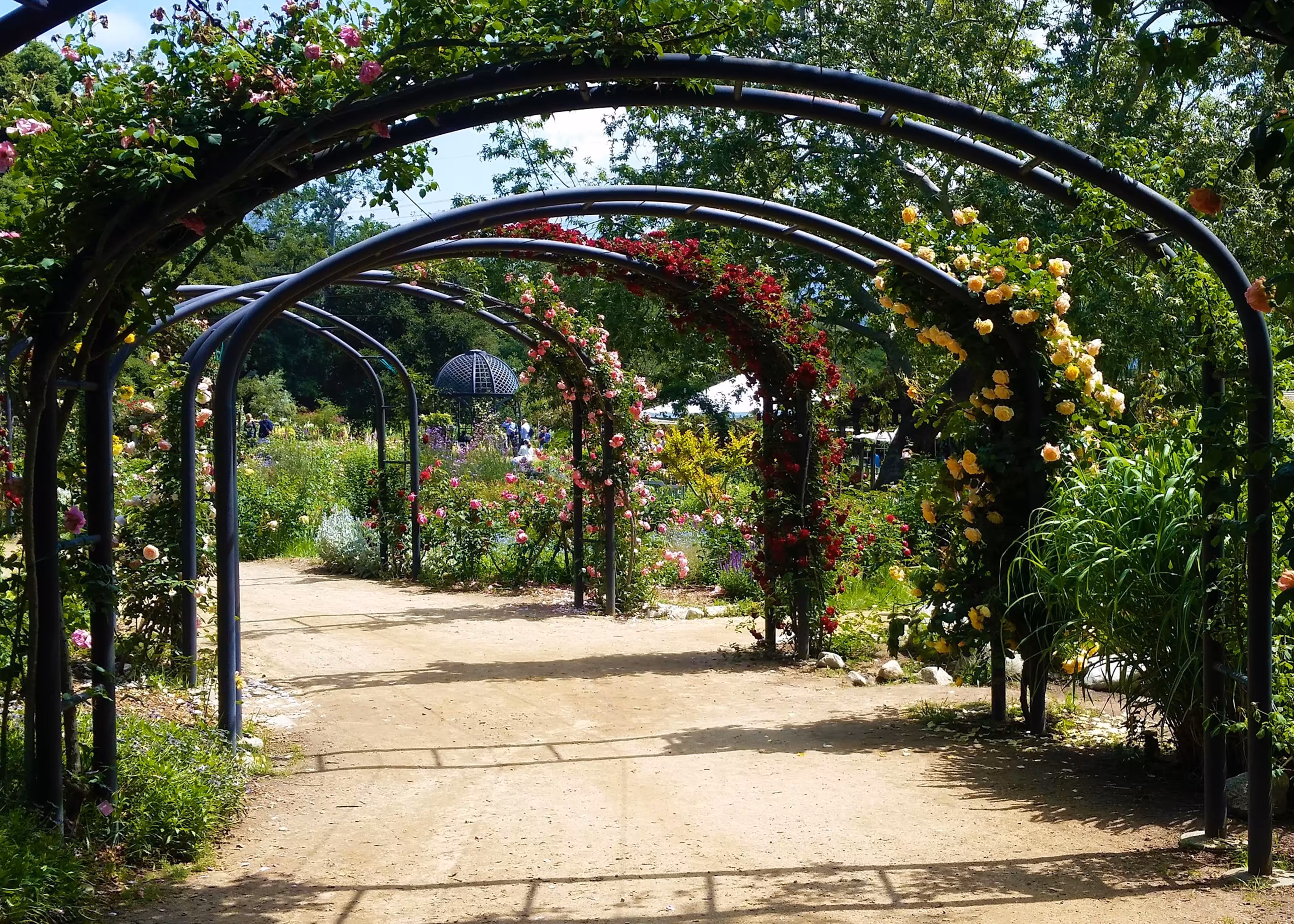 Garden Path