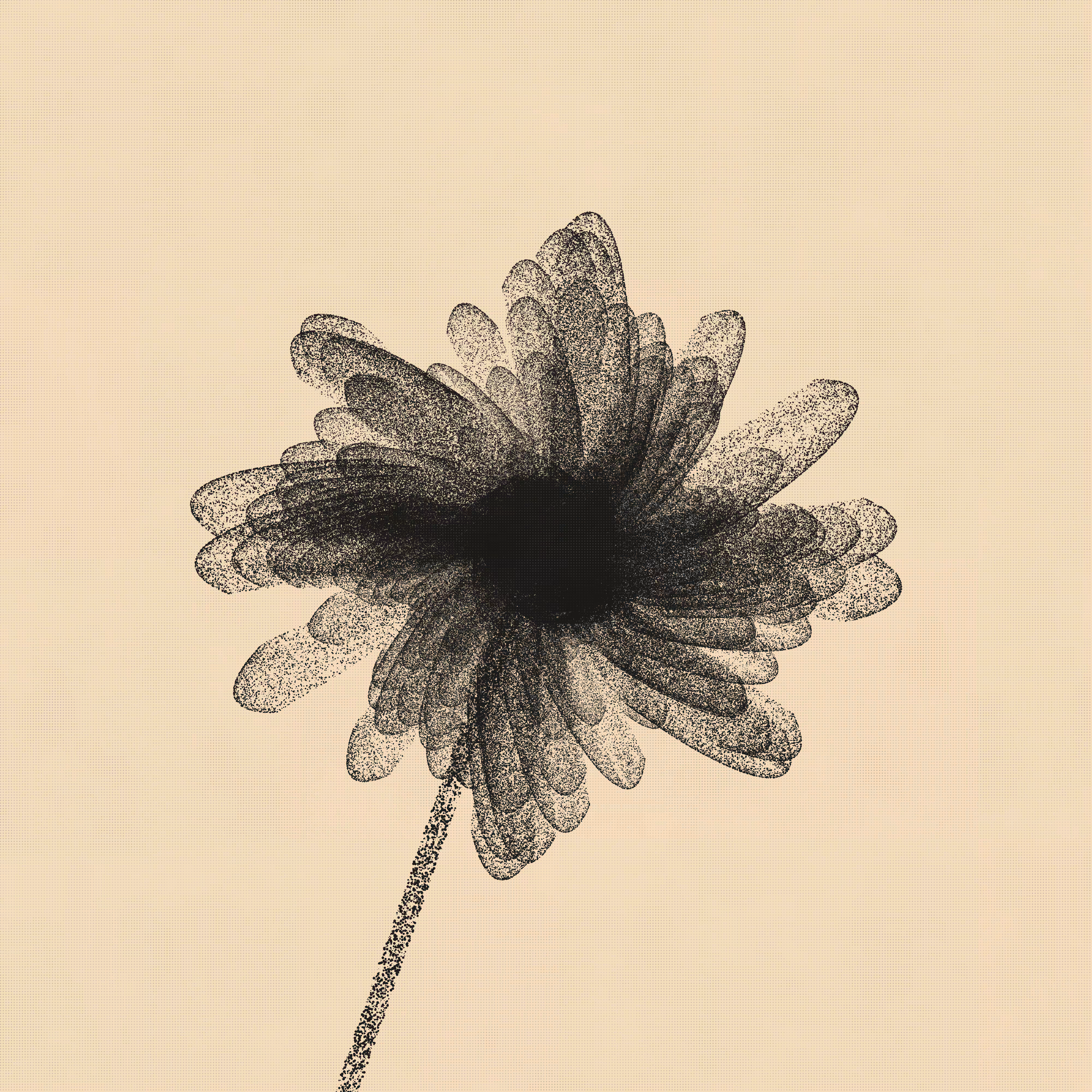 flos #9