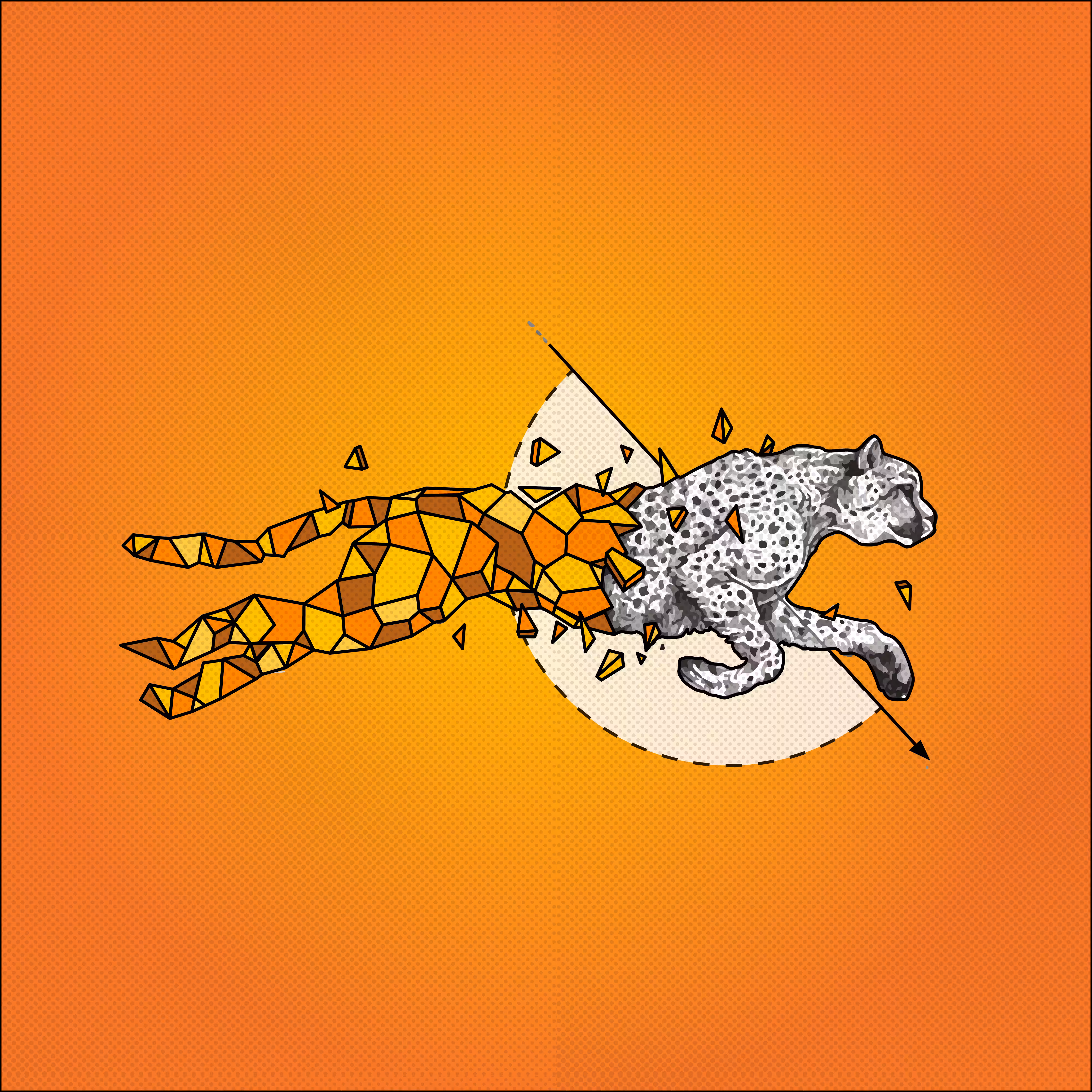 Shattered Cheetah
