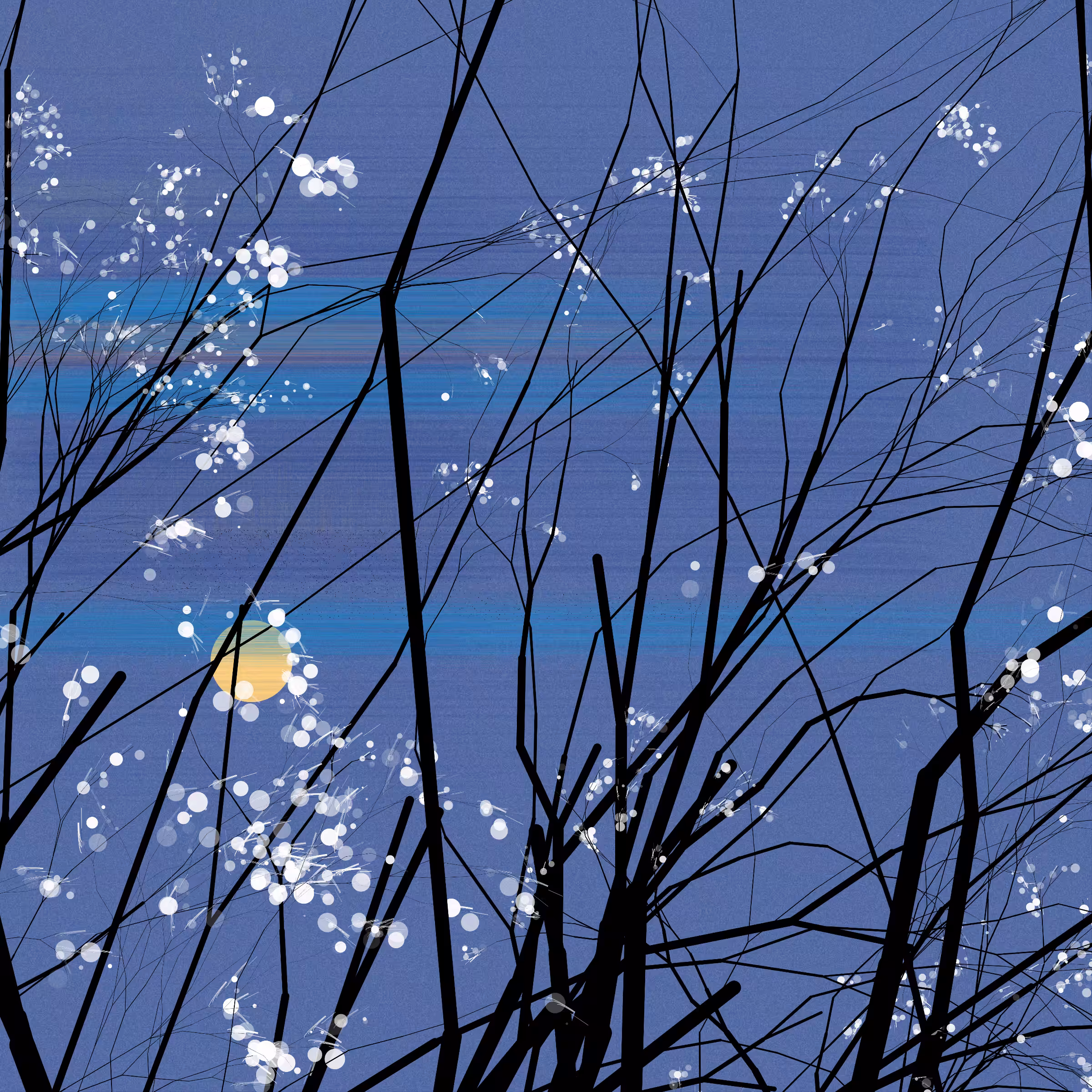 conversation with the wind #484