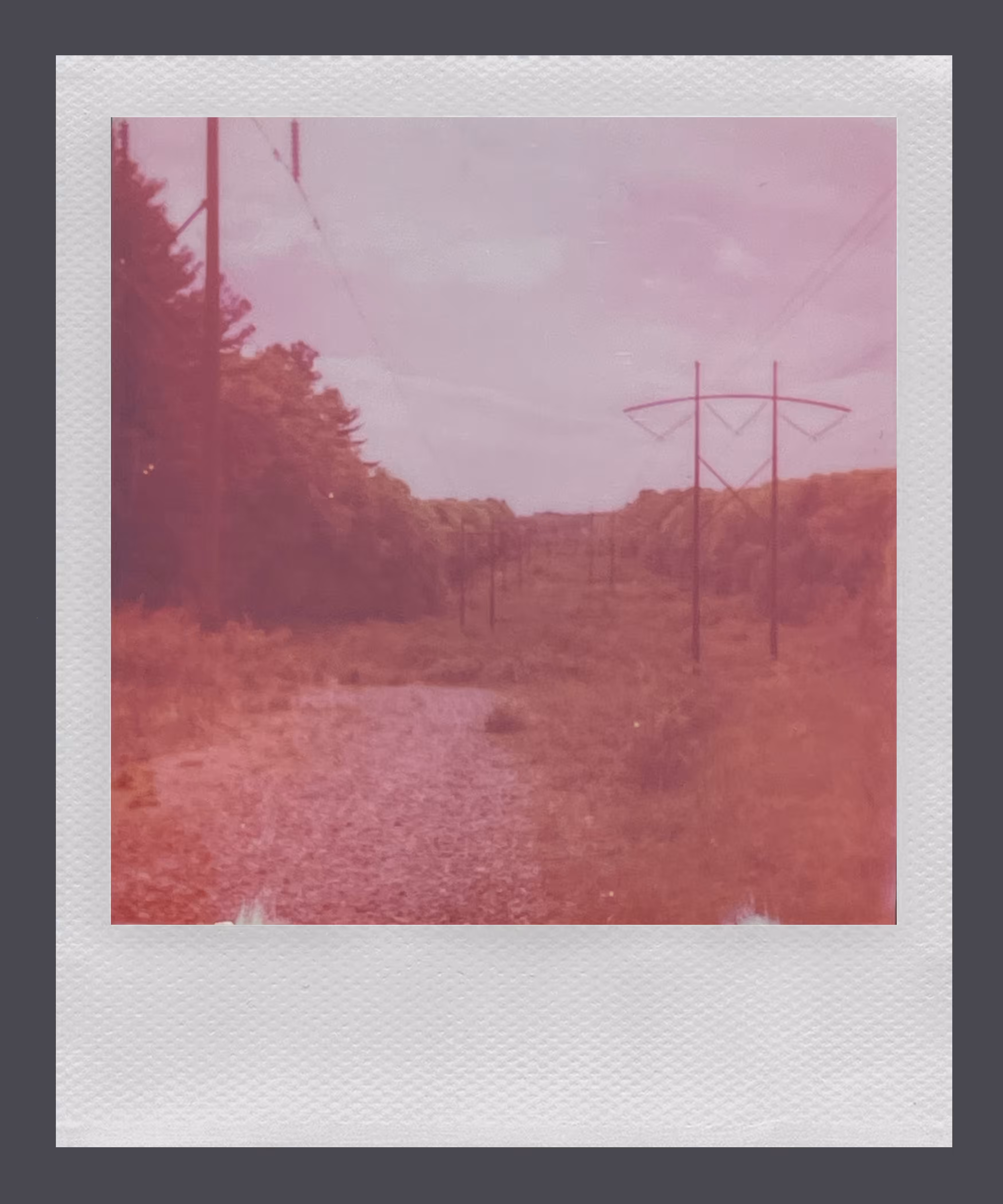 Polaroid 7/8