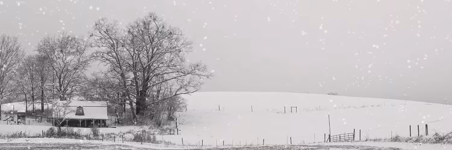 Wintry Morn