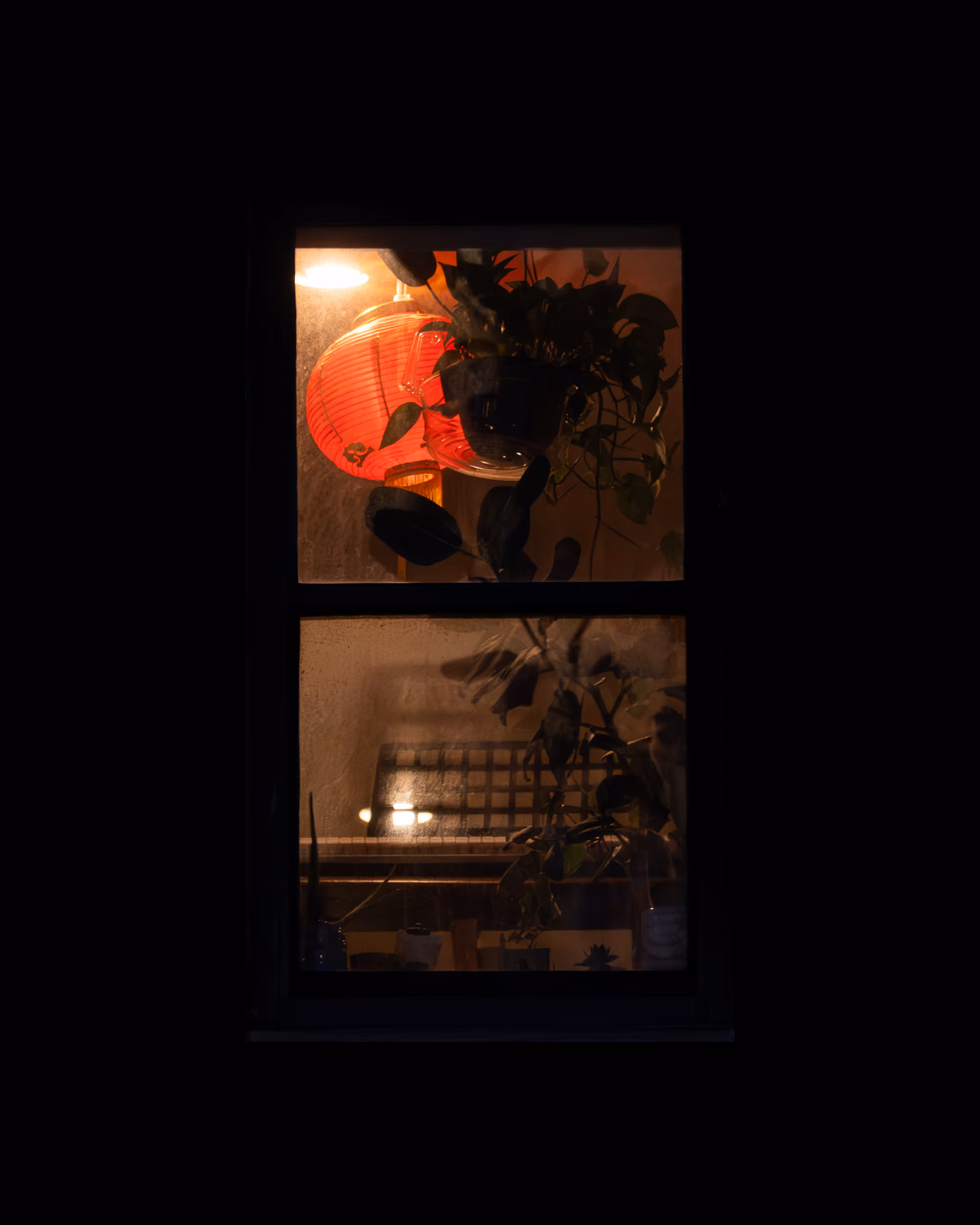 WINDOWS // NYC: WINDOW 536
