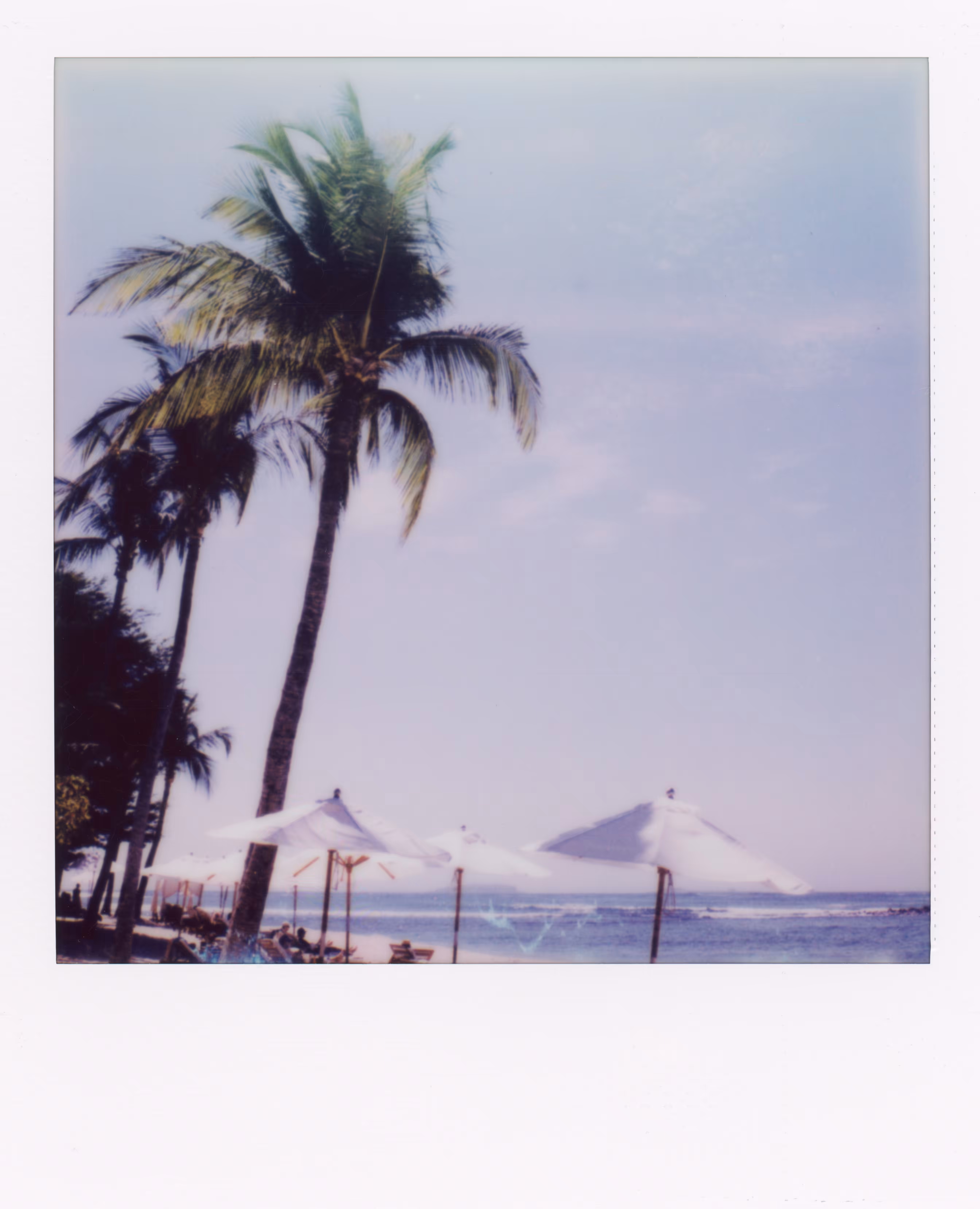 Polaroid In Paradise