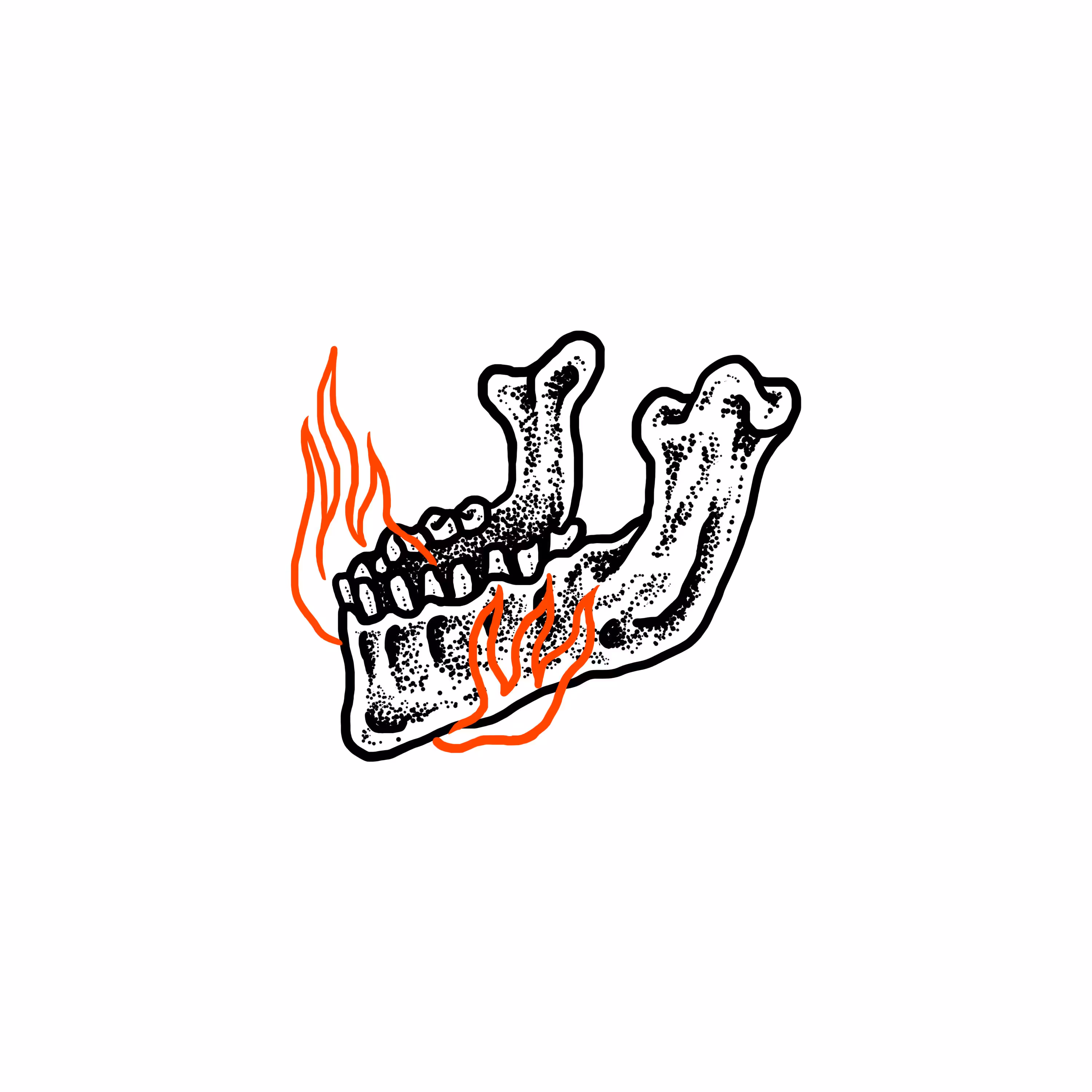 Jaw