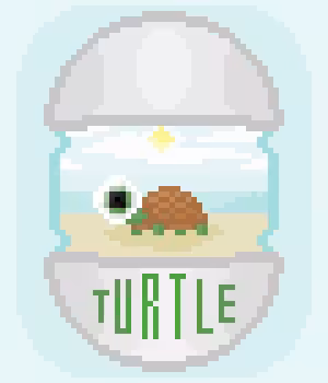 TURTLE 'EYE'