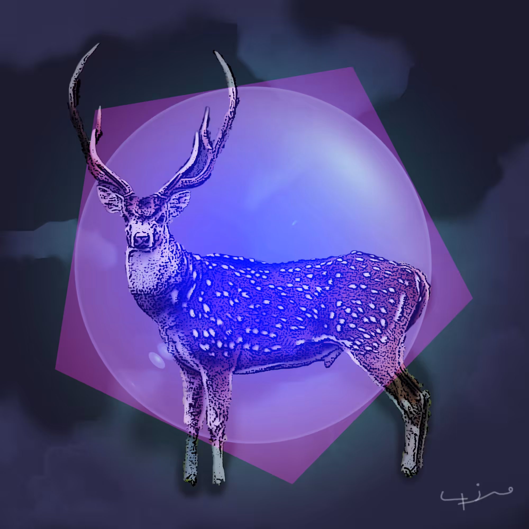 Ciervo nocturno