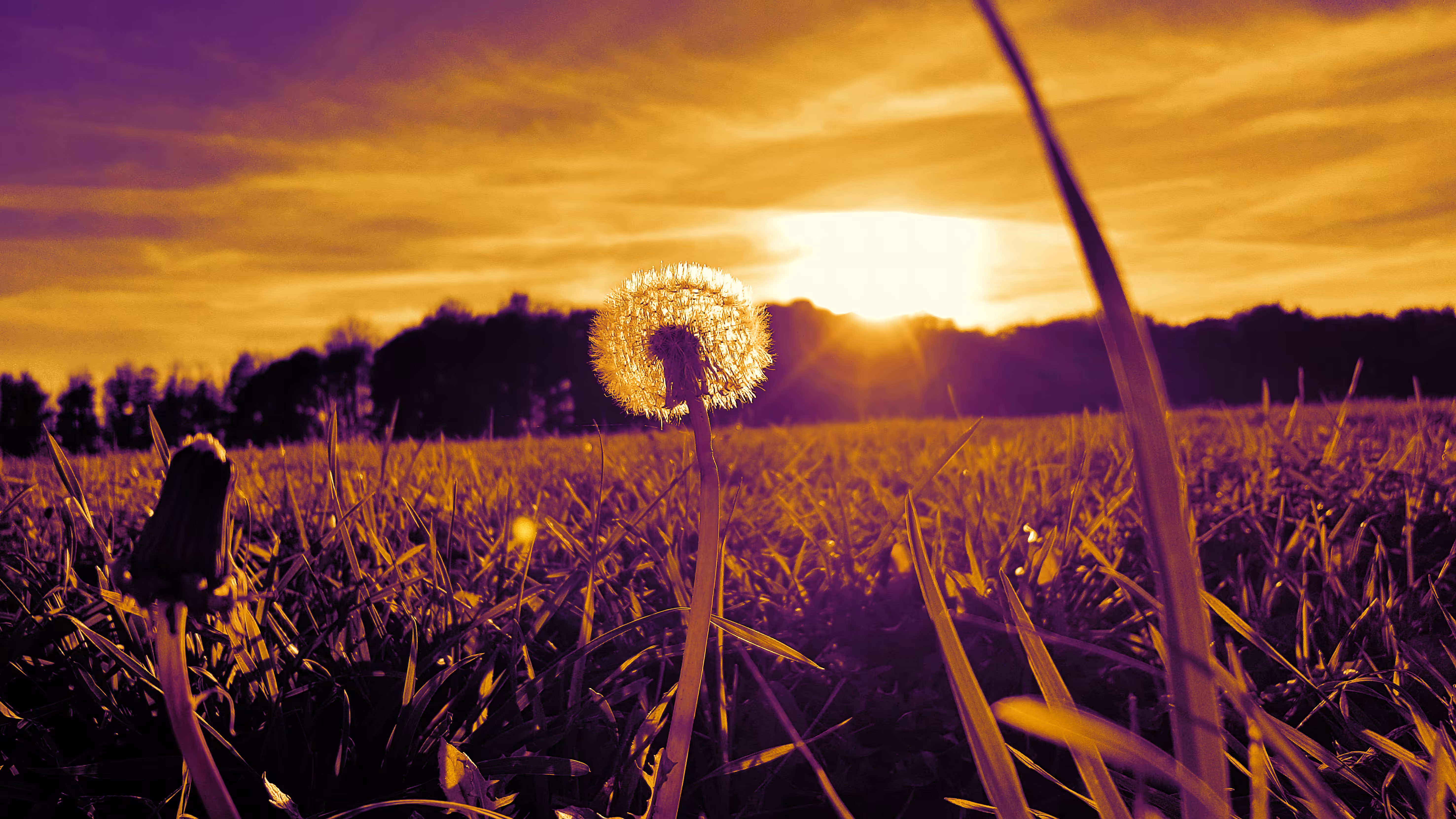 Warming Fields