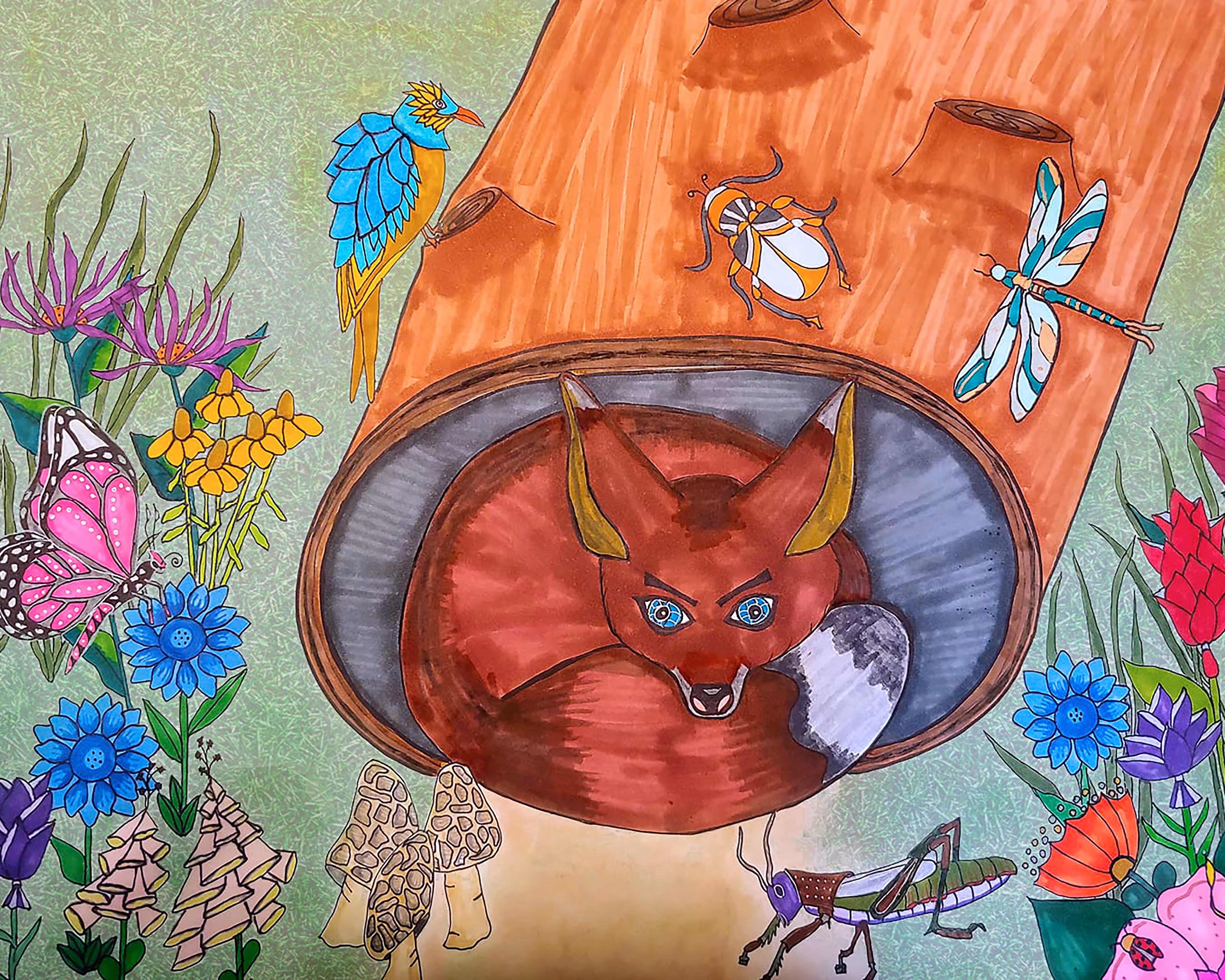 Fox in a Log 