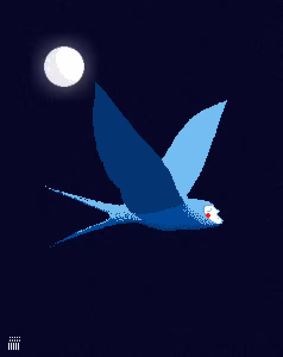 The Swallow