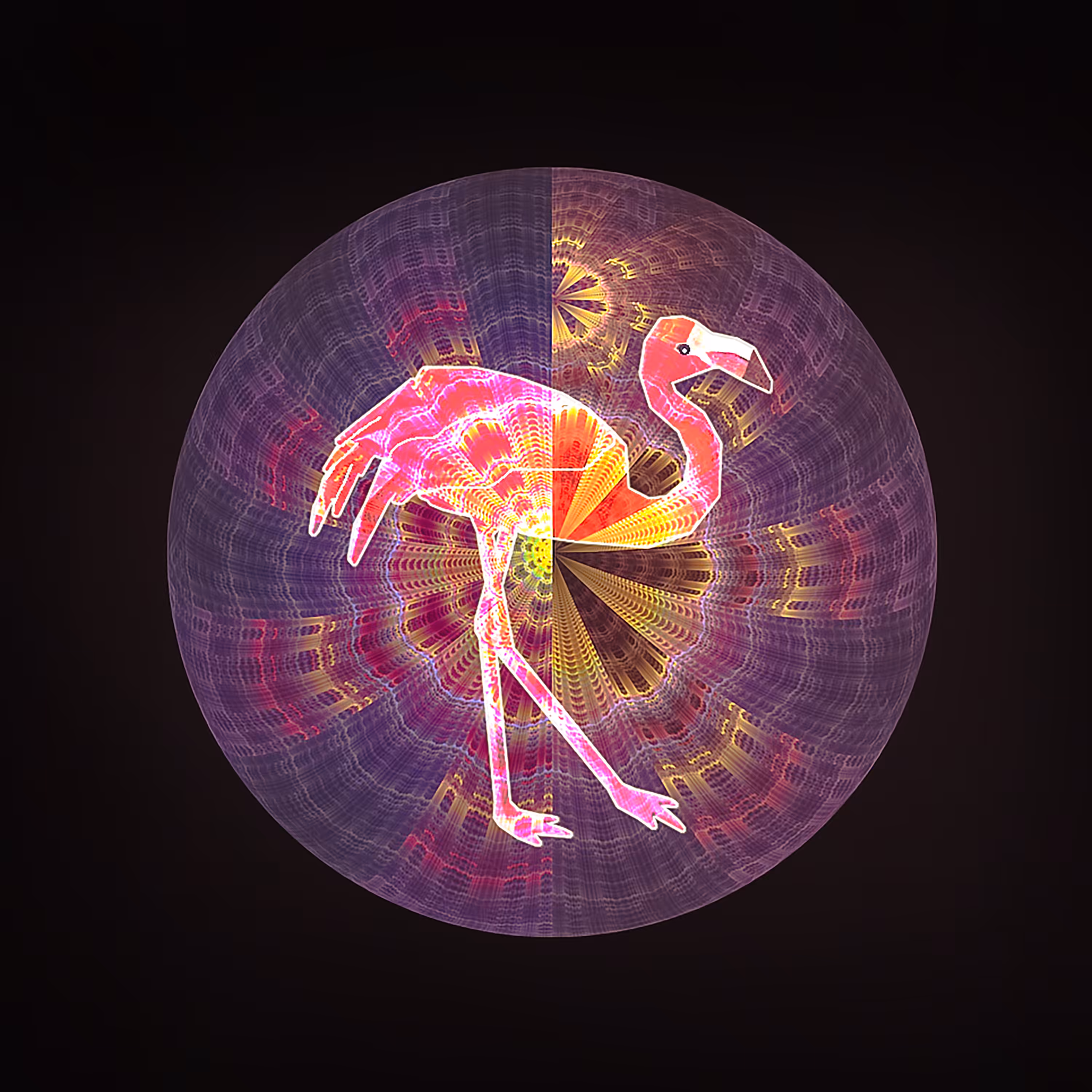 Pink Flamingo