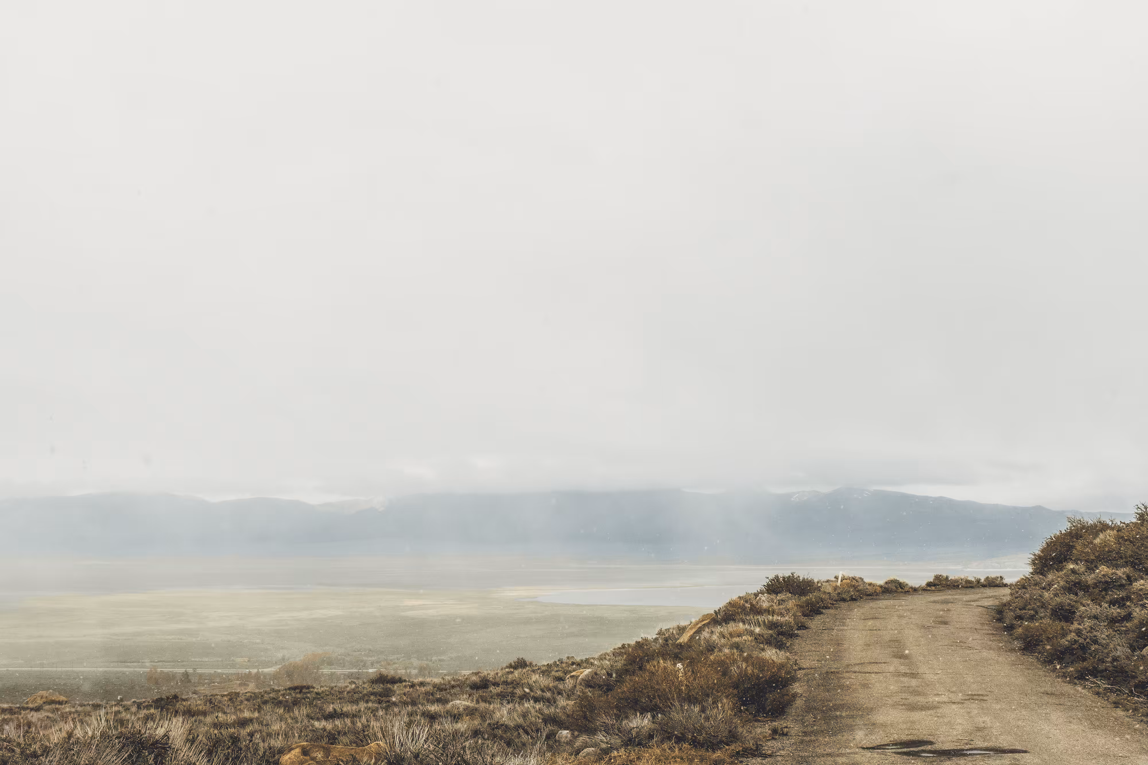 Desolation Dreams