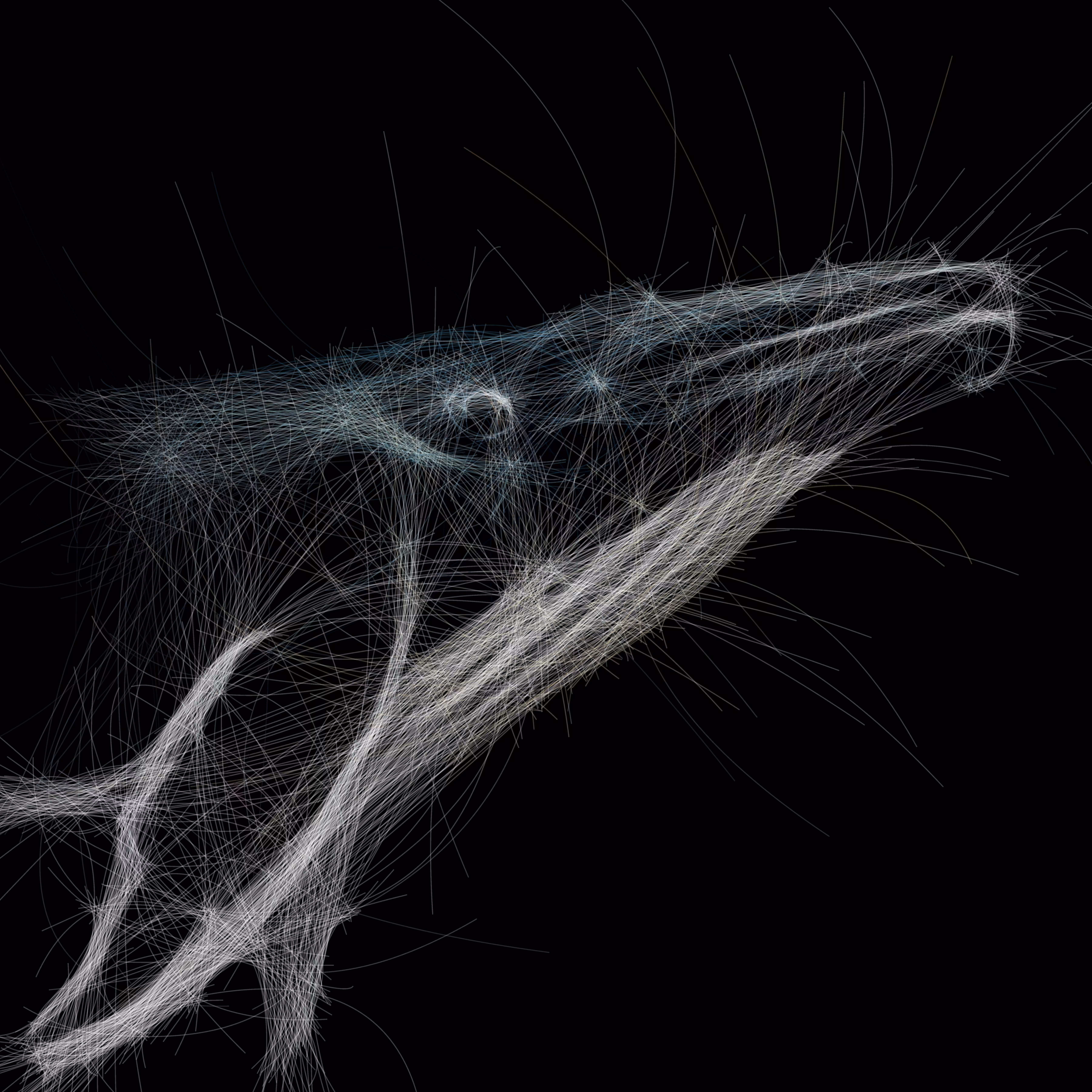 UNDERWATER: Underwater 243