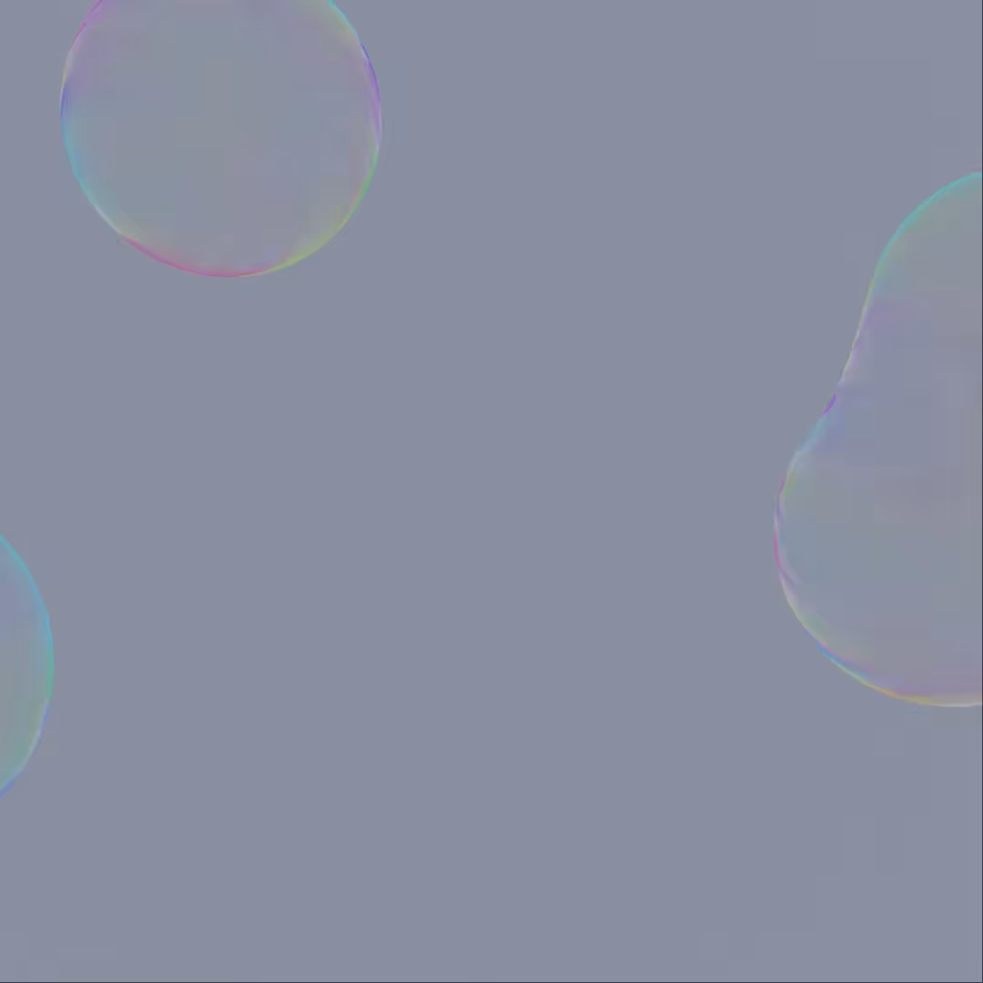 "NFTS ARE A BUBBLE"