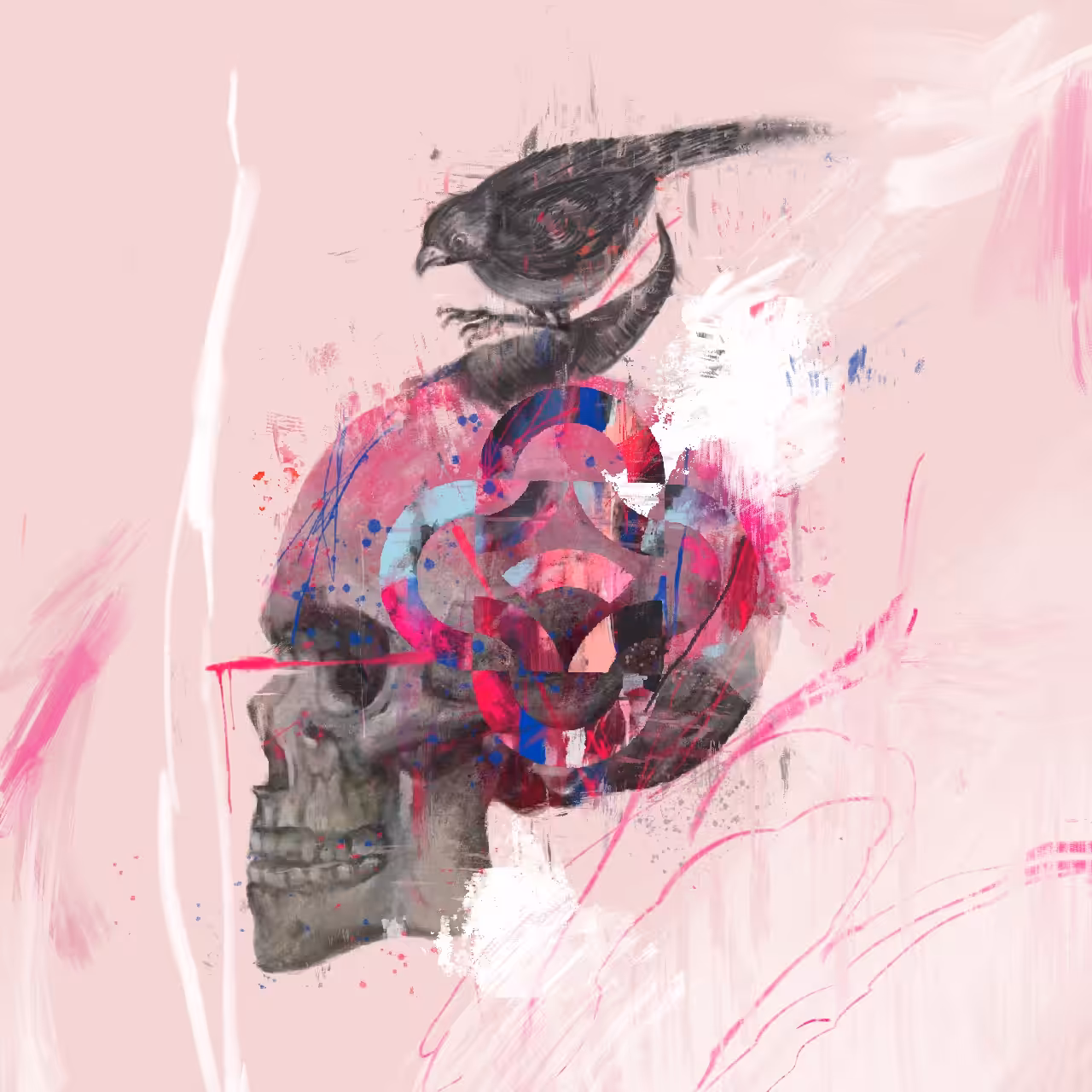 The skull