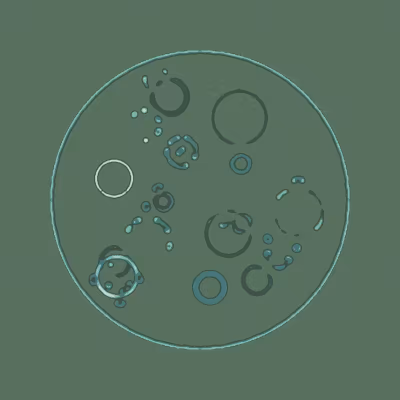 Cheap Petri Dish #36